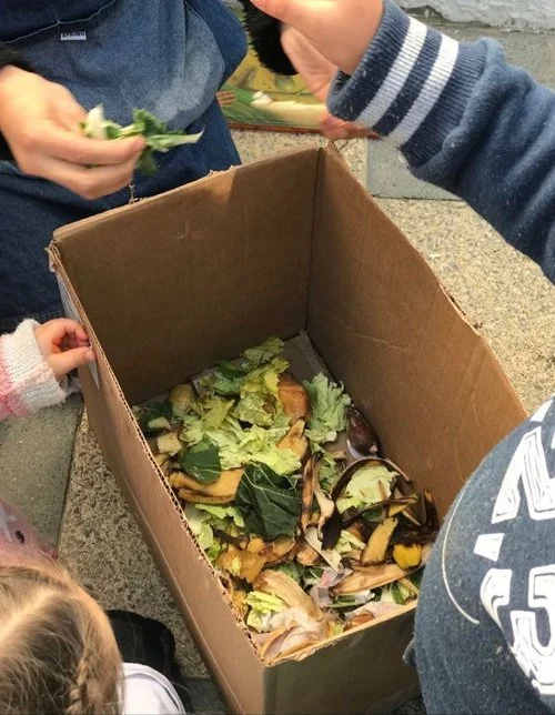 Día del medio ambiente