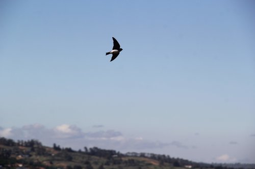 Descanso de Primavera