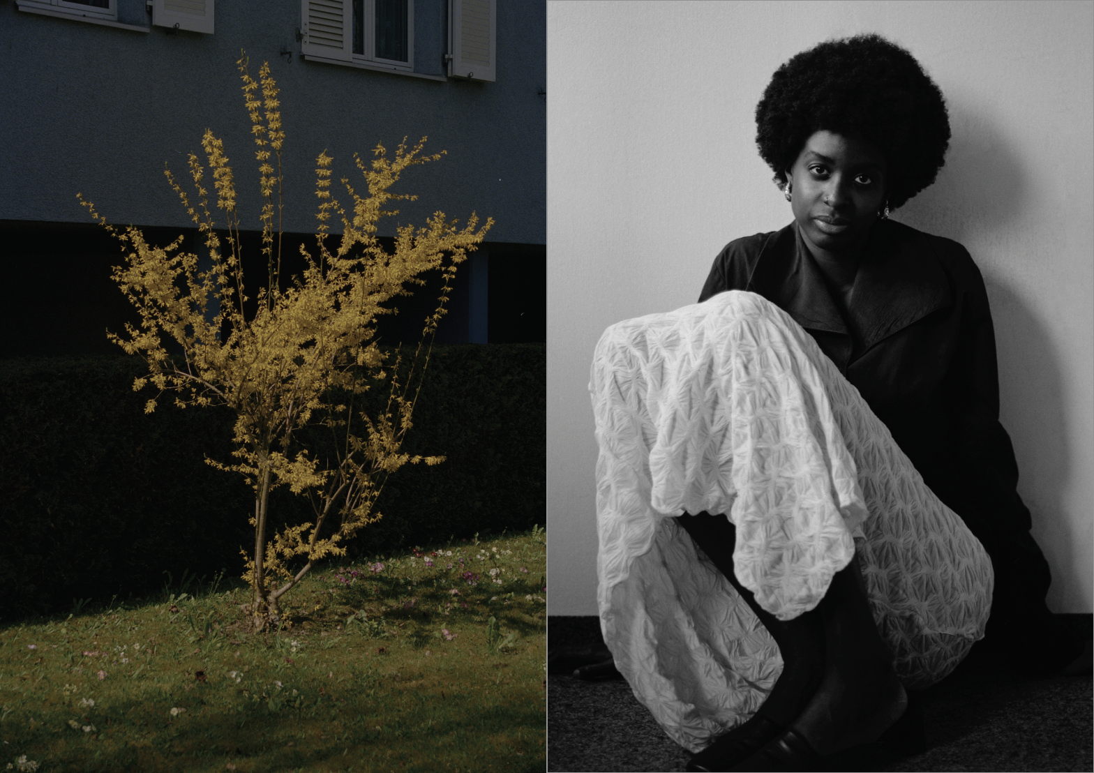 Screenshot 2026-01-29 at 01.53.32.png