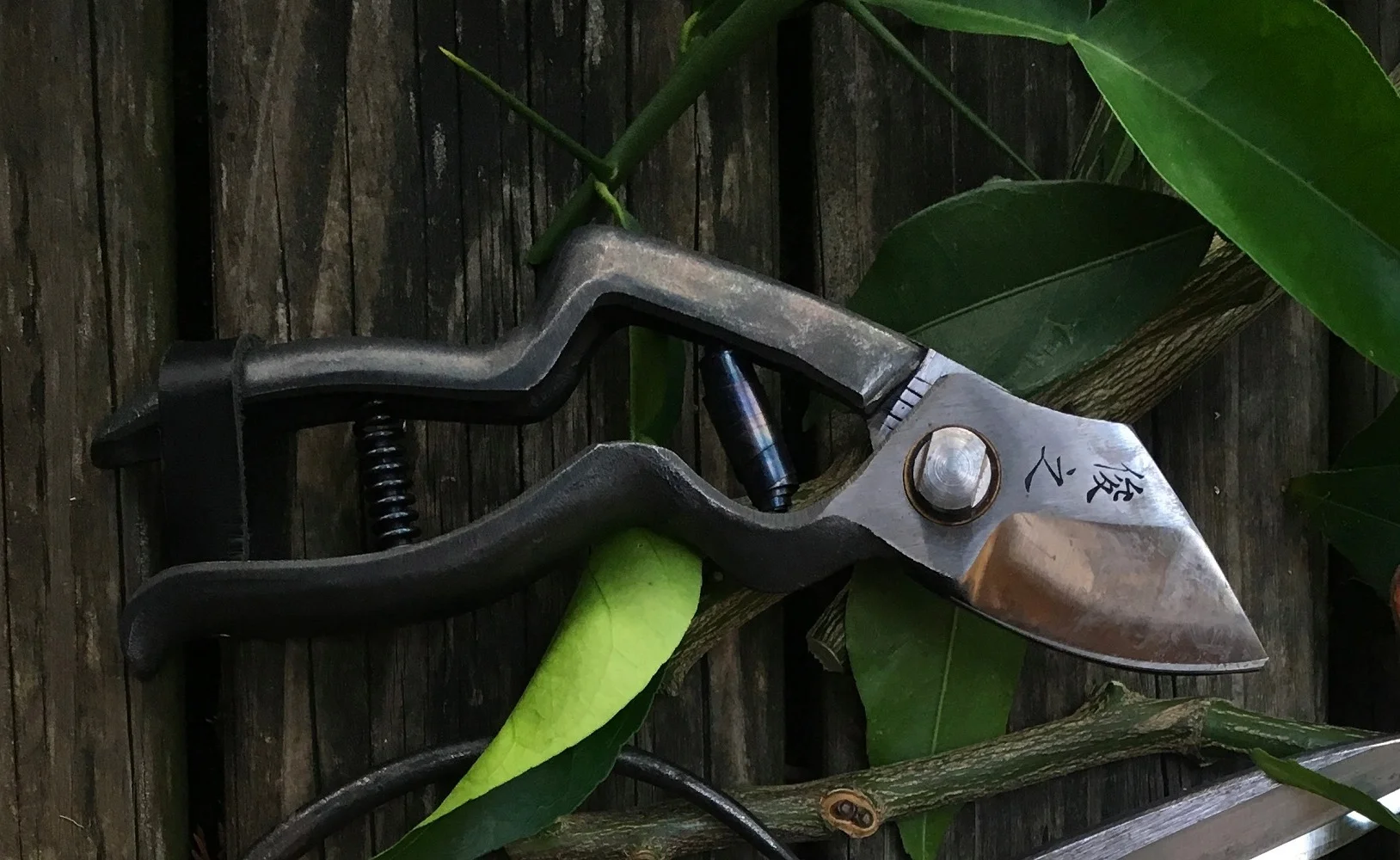 1_taille - Copie.JPG