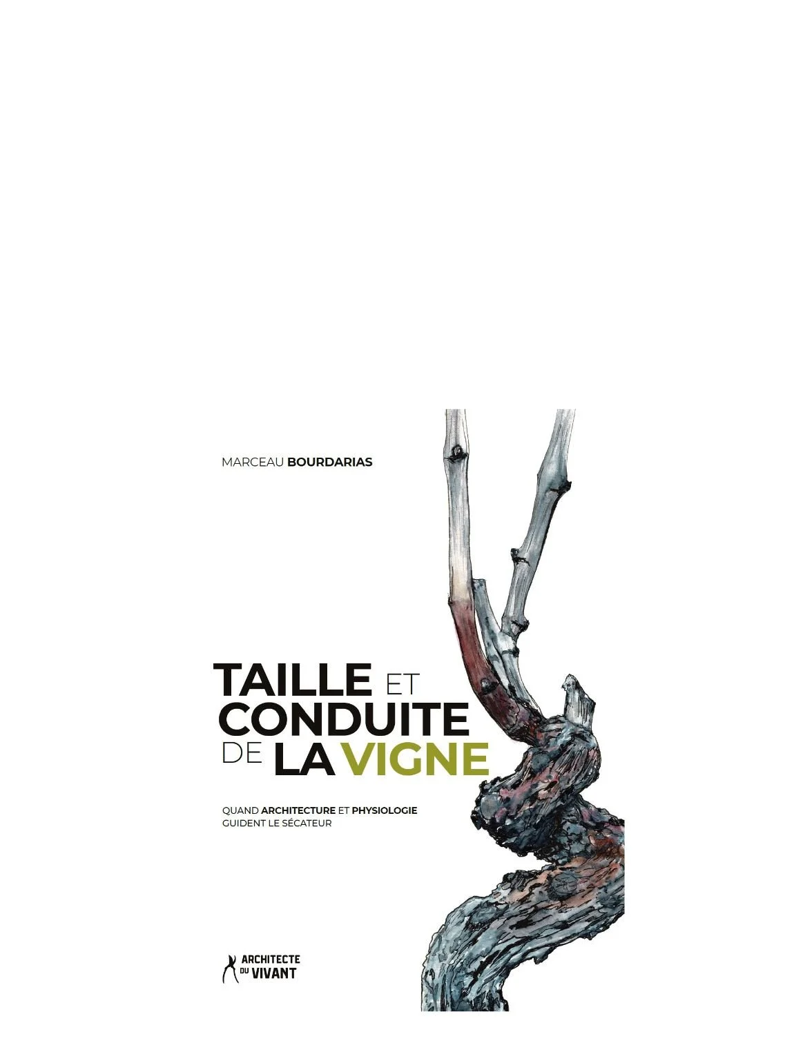 Taille et conduite de la vigne