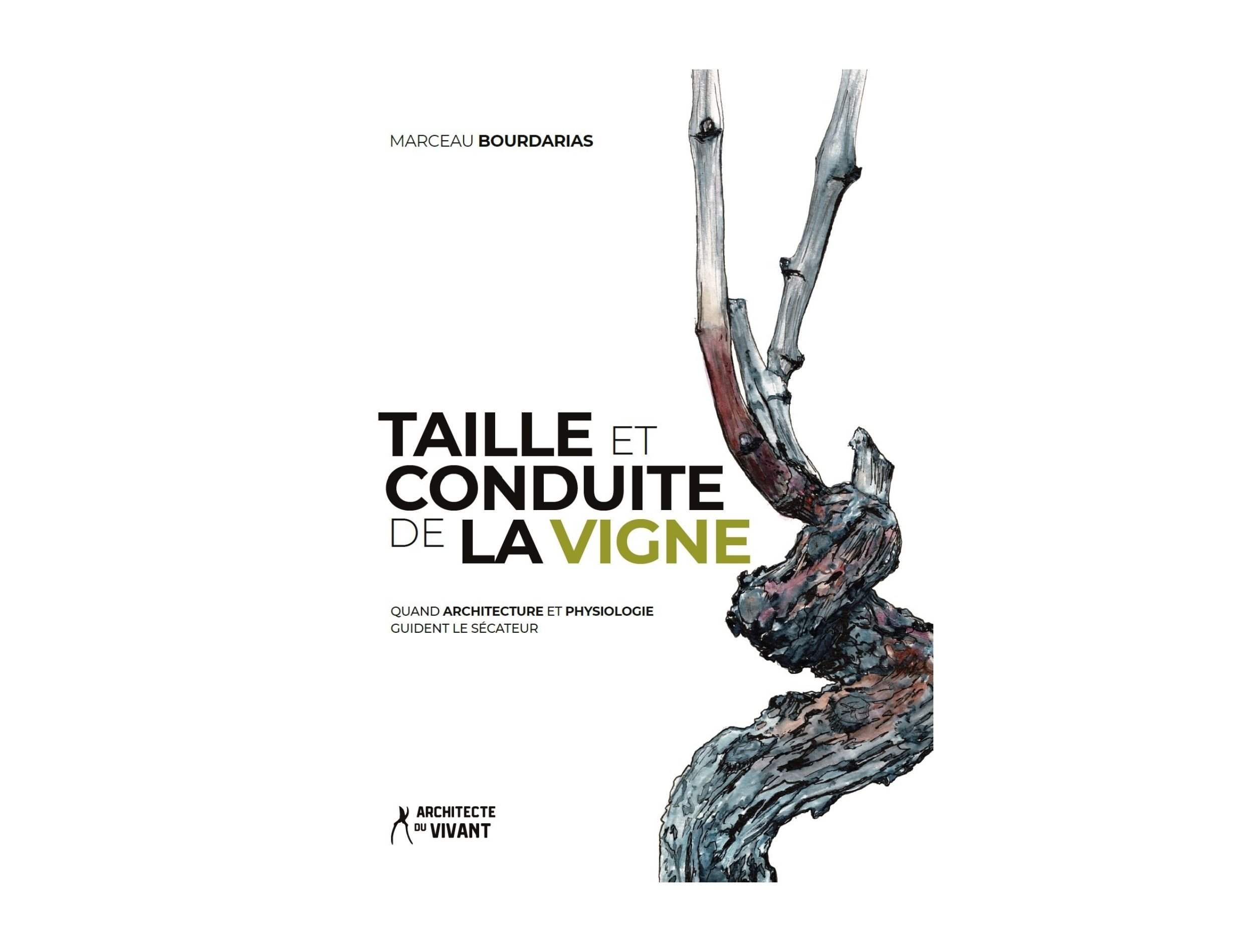 taille_conduite_vigne_marceau_bourdarias