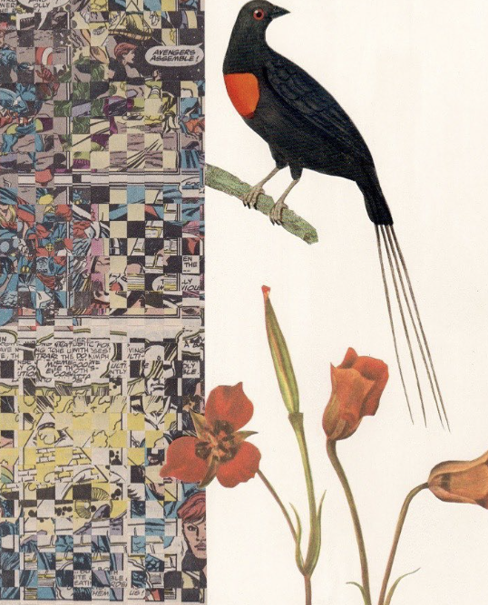 Screenshot 2025-08-04 at 5.09.19 PM.png