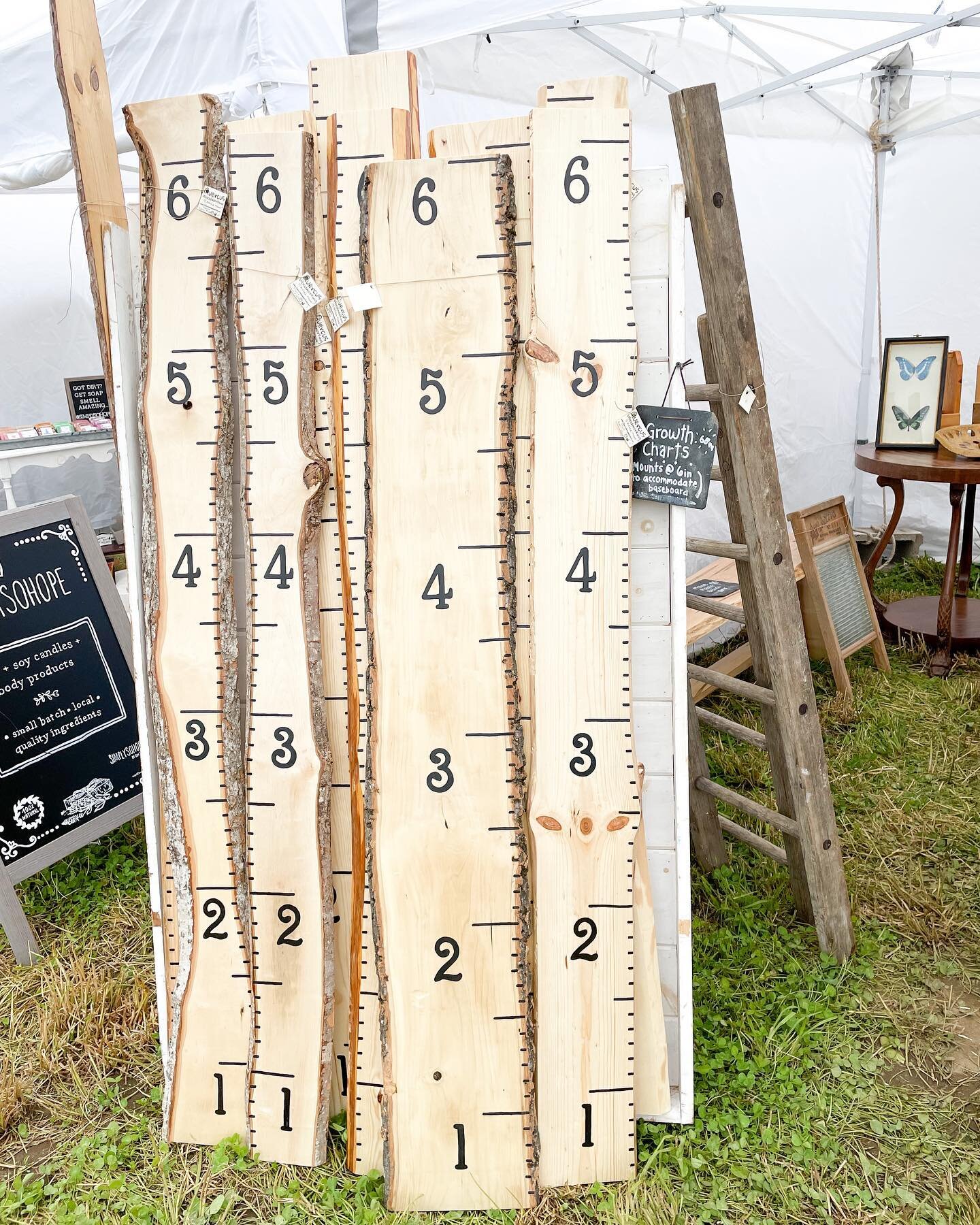 Growth chart or I bet it would work great as a rain gauge at this point! 🥴