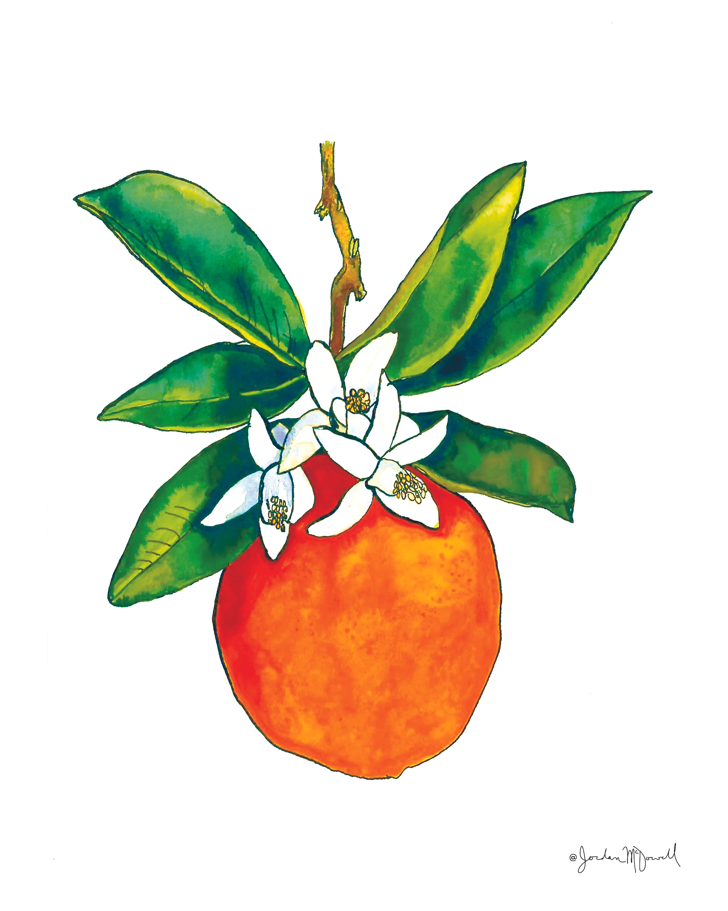 Orange 8x10 sig.jpg