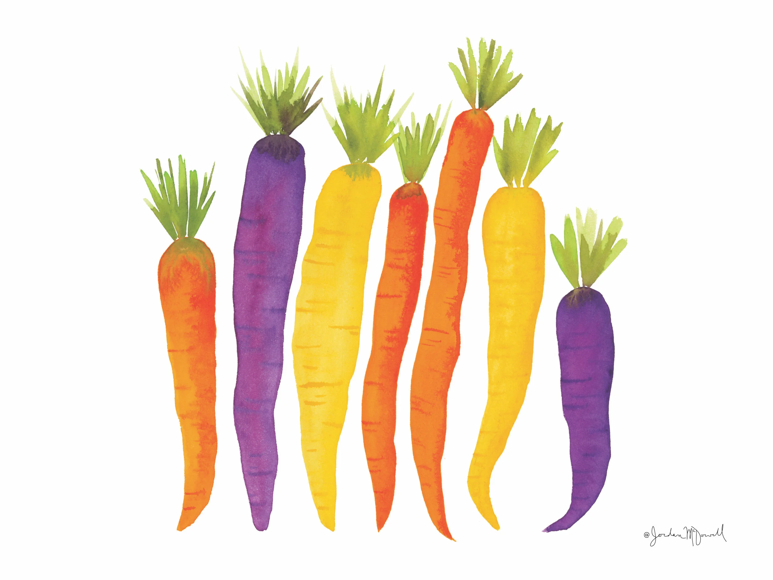 Carrots 9x12 copy.jpg