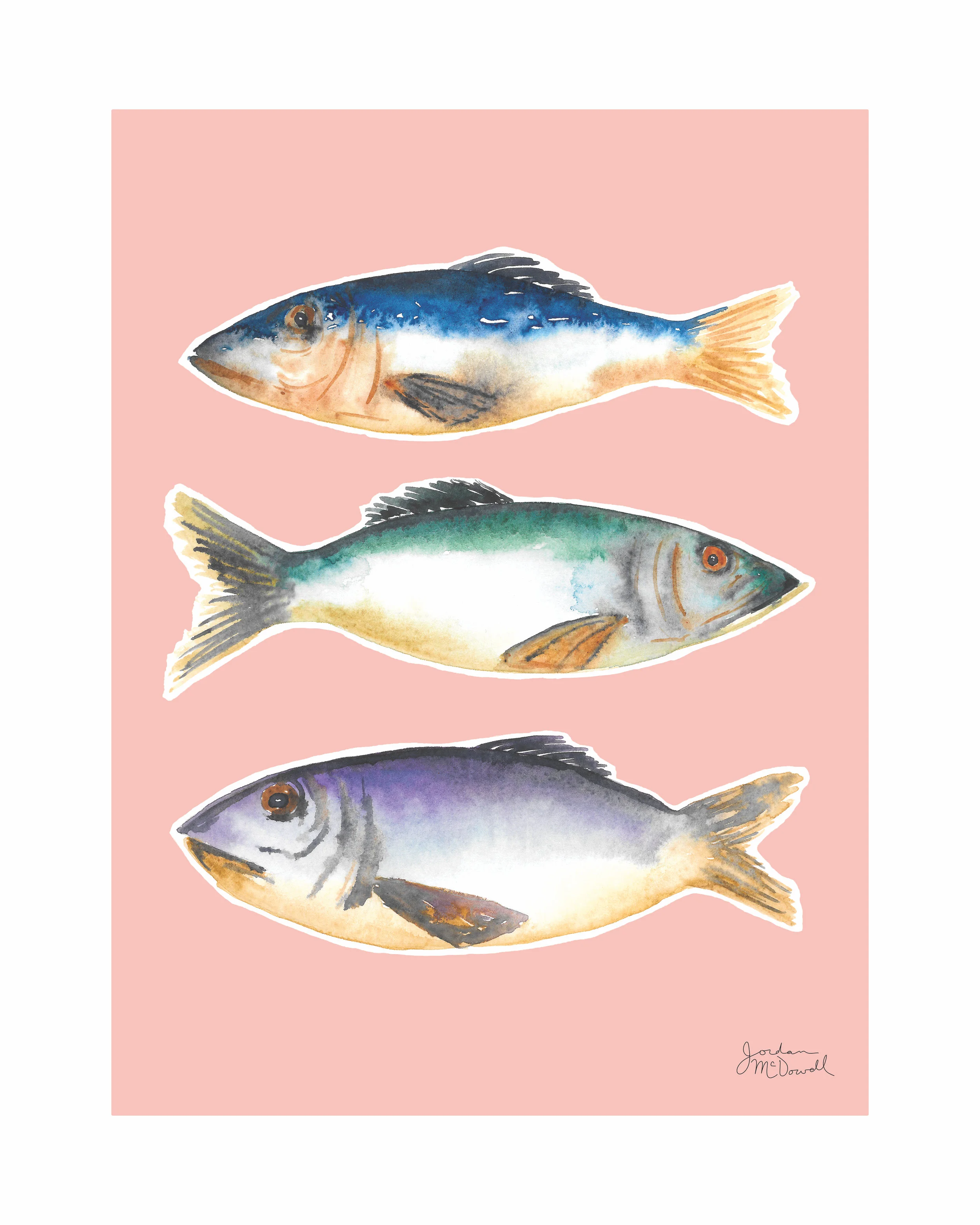 Fish 8x20.jpg