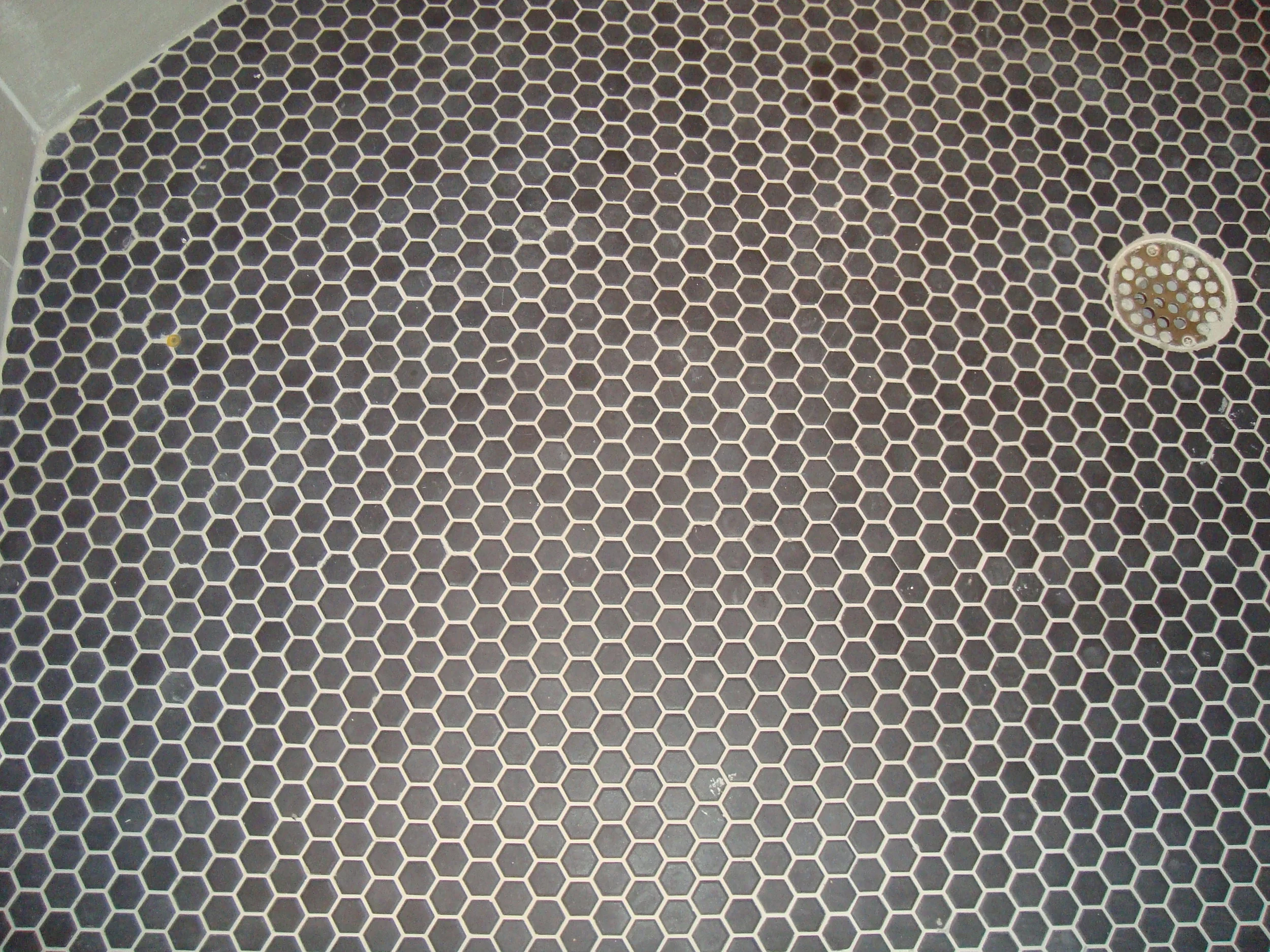 DSC00738.JPG