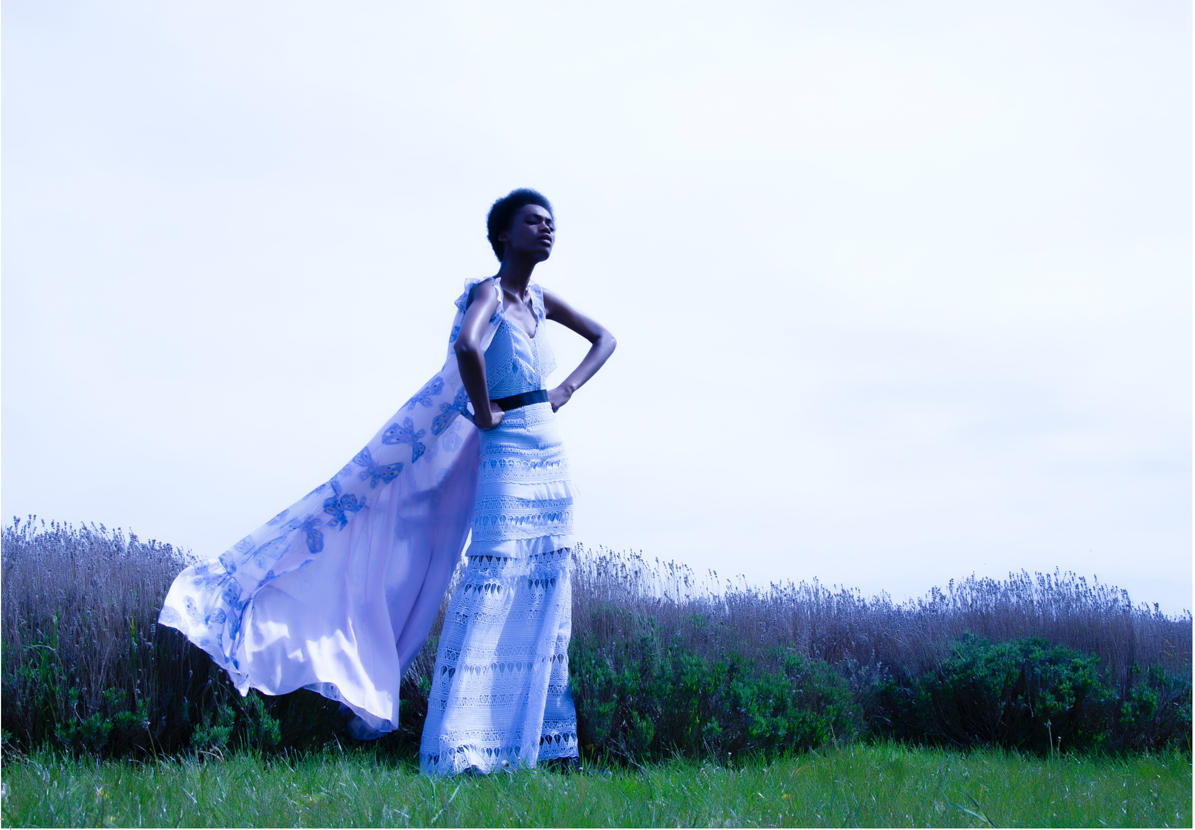 Screen Shot 2017-04-02 at 12.13.17.png