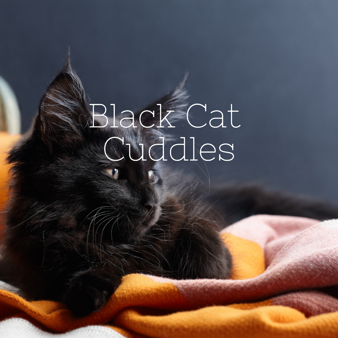 Black Cat Cuddles Indie Perfume Oil Poesie Use them in commercial designs under lifetime, perpetual & worldwide rights. poesie perfume