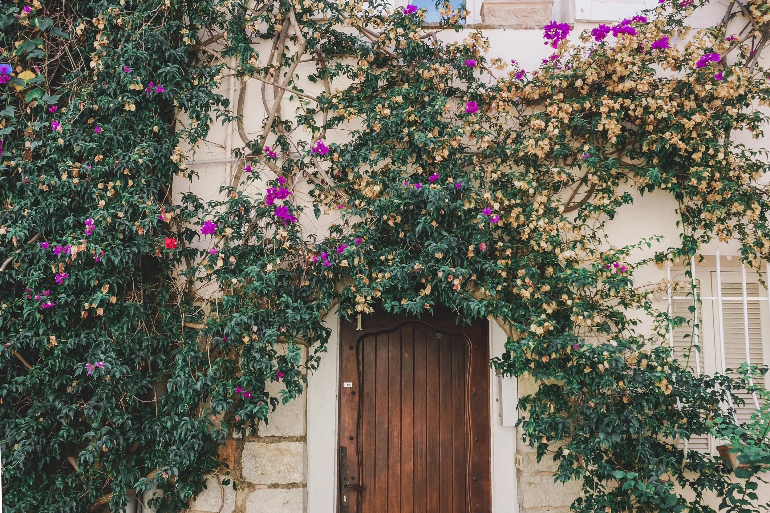 france door again (1 of 1).jpg