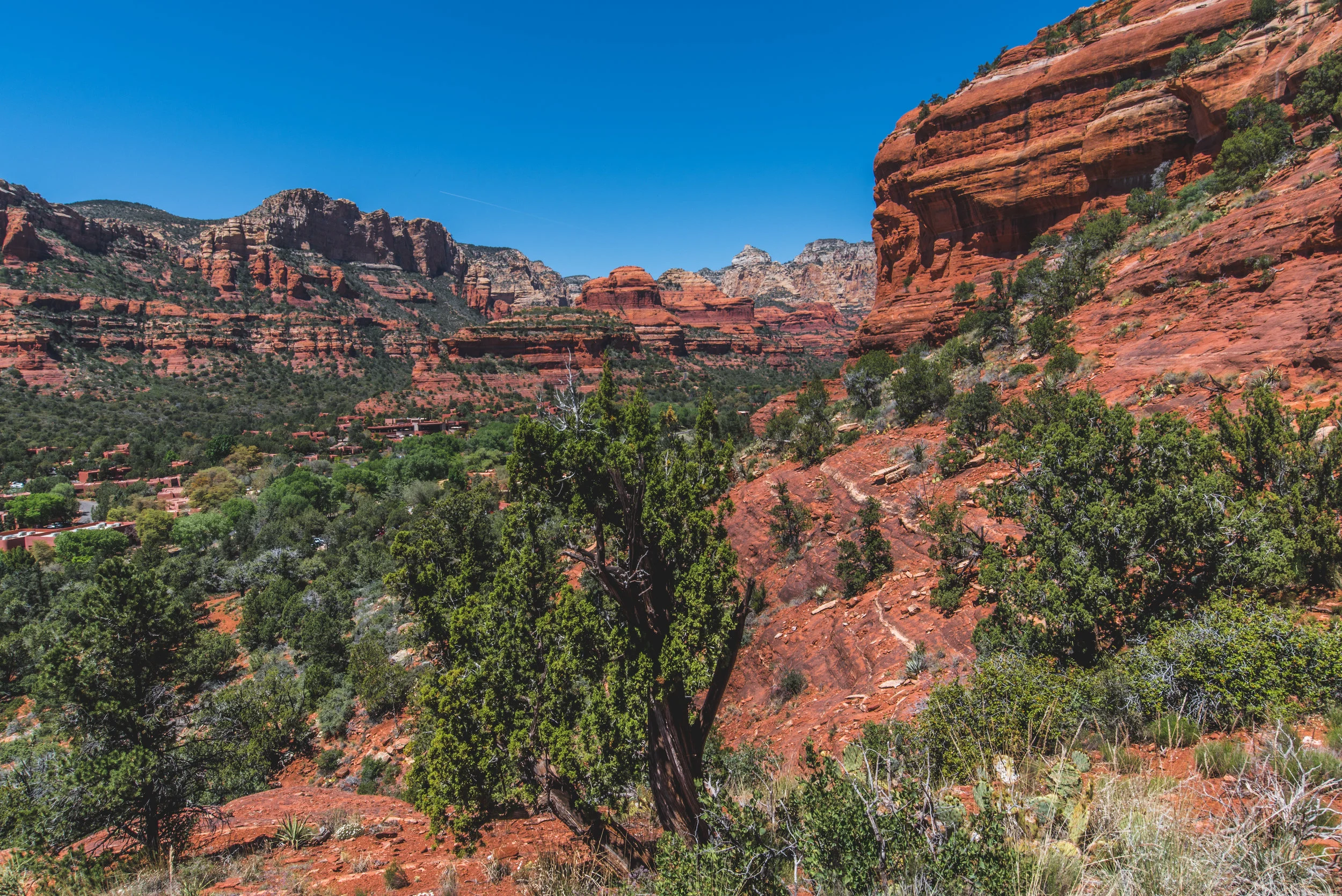 boynton canyon (1 of 1).jpg