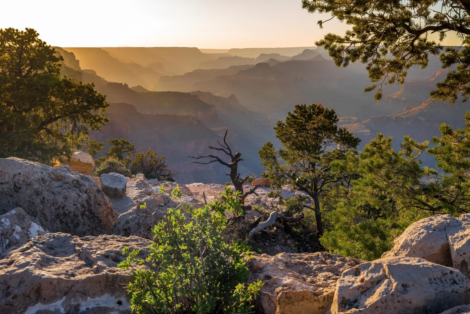 grand canyon.jpg