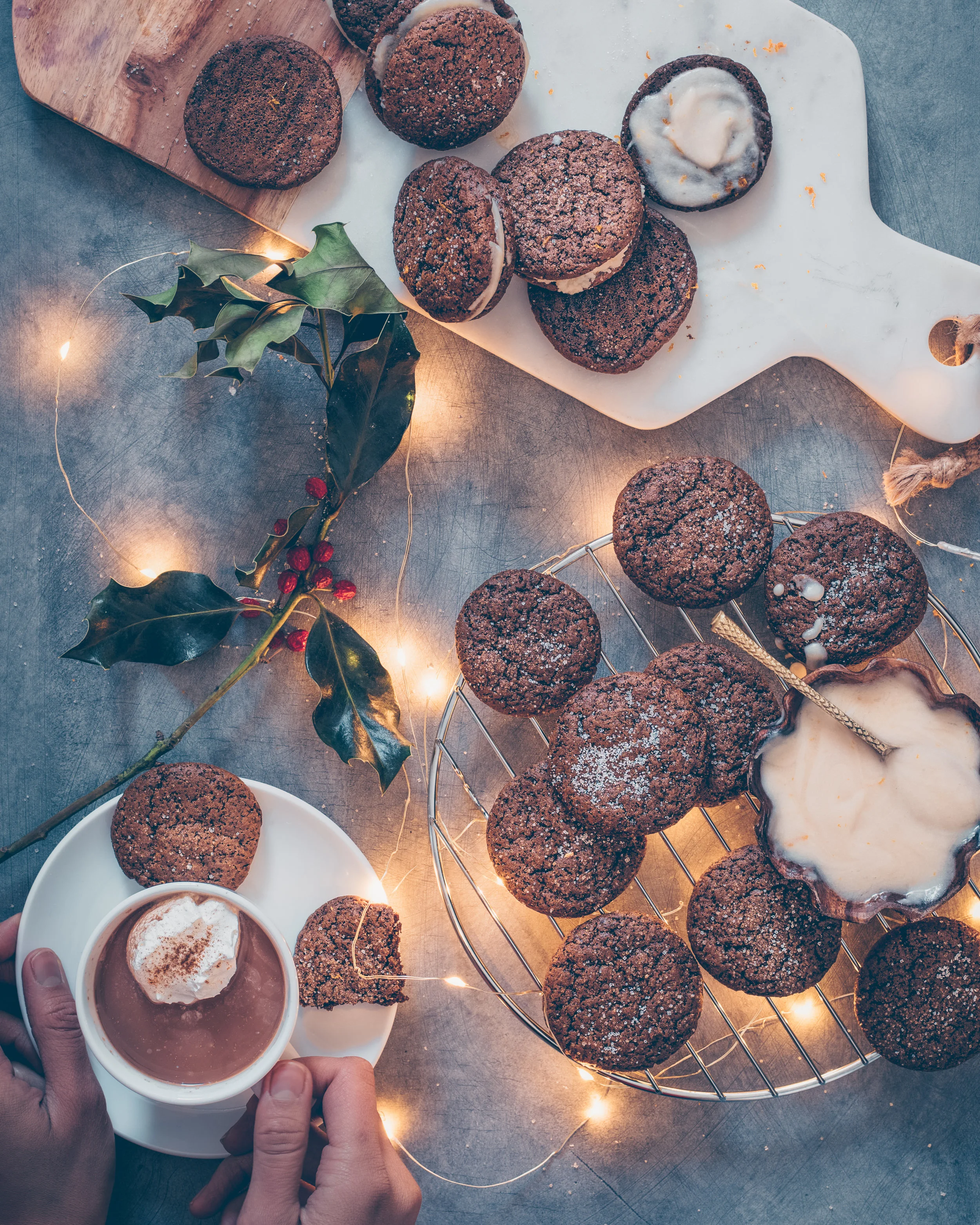 gingerbread cookies with hot cocoa - blue matte.jpg
