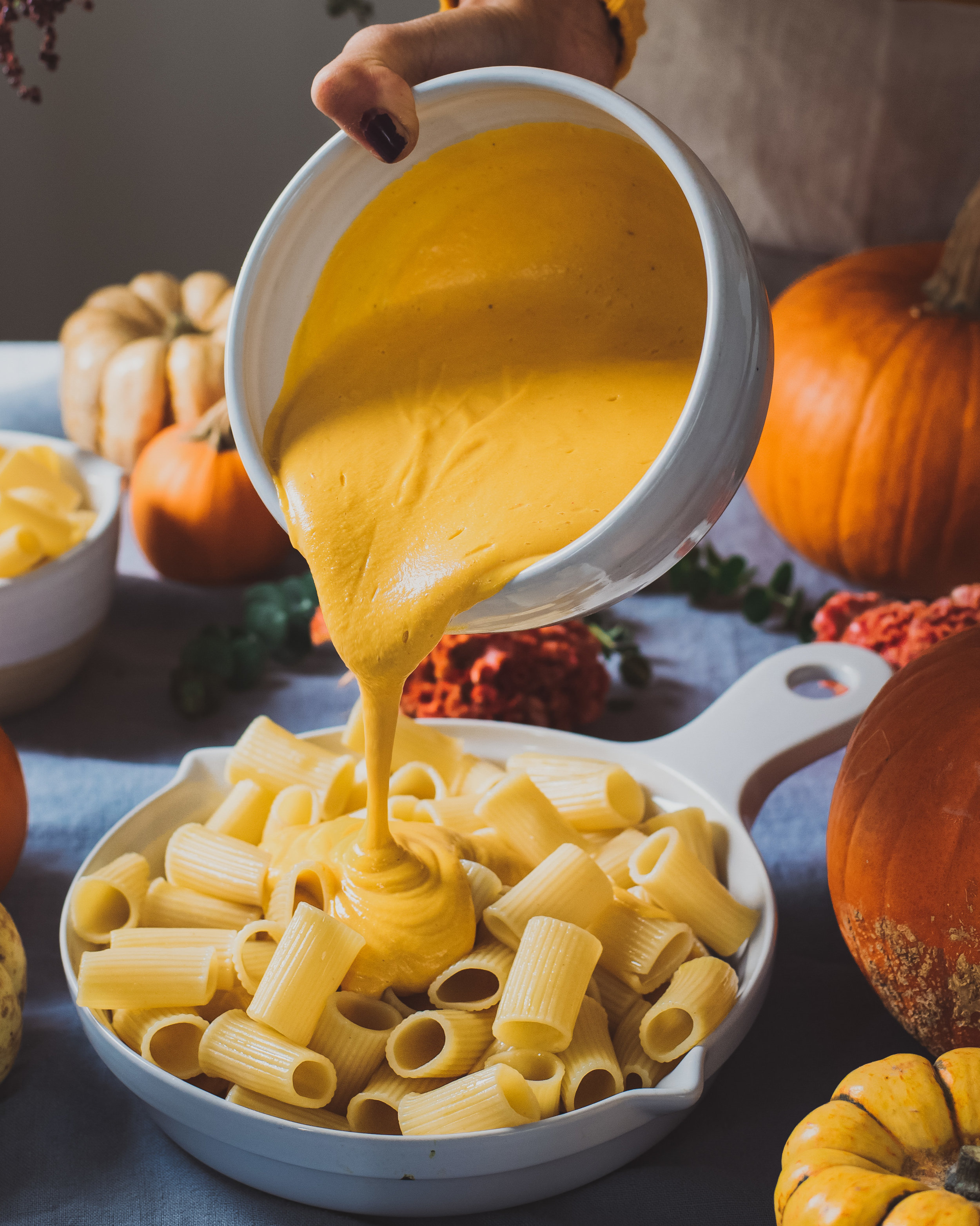 Pumpkin Pop For Mac Pumpkin Pop For Mac