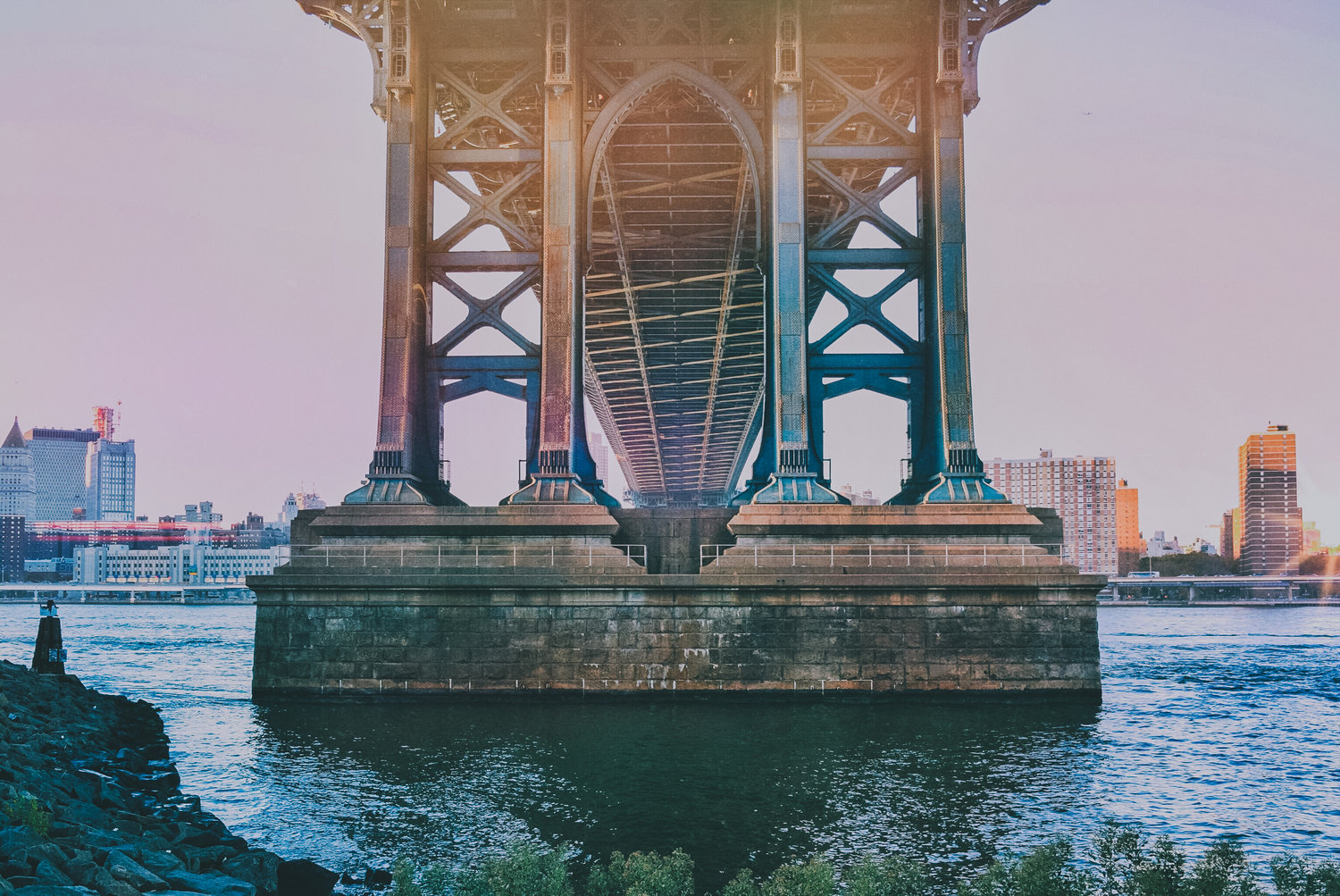 dumbo+(1+of+1).jpg
