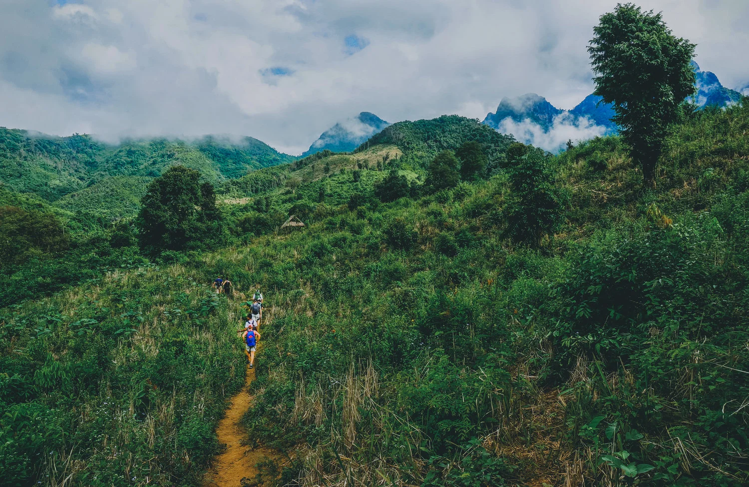 hiking+trail+(1+of+1).jpg