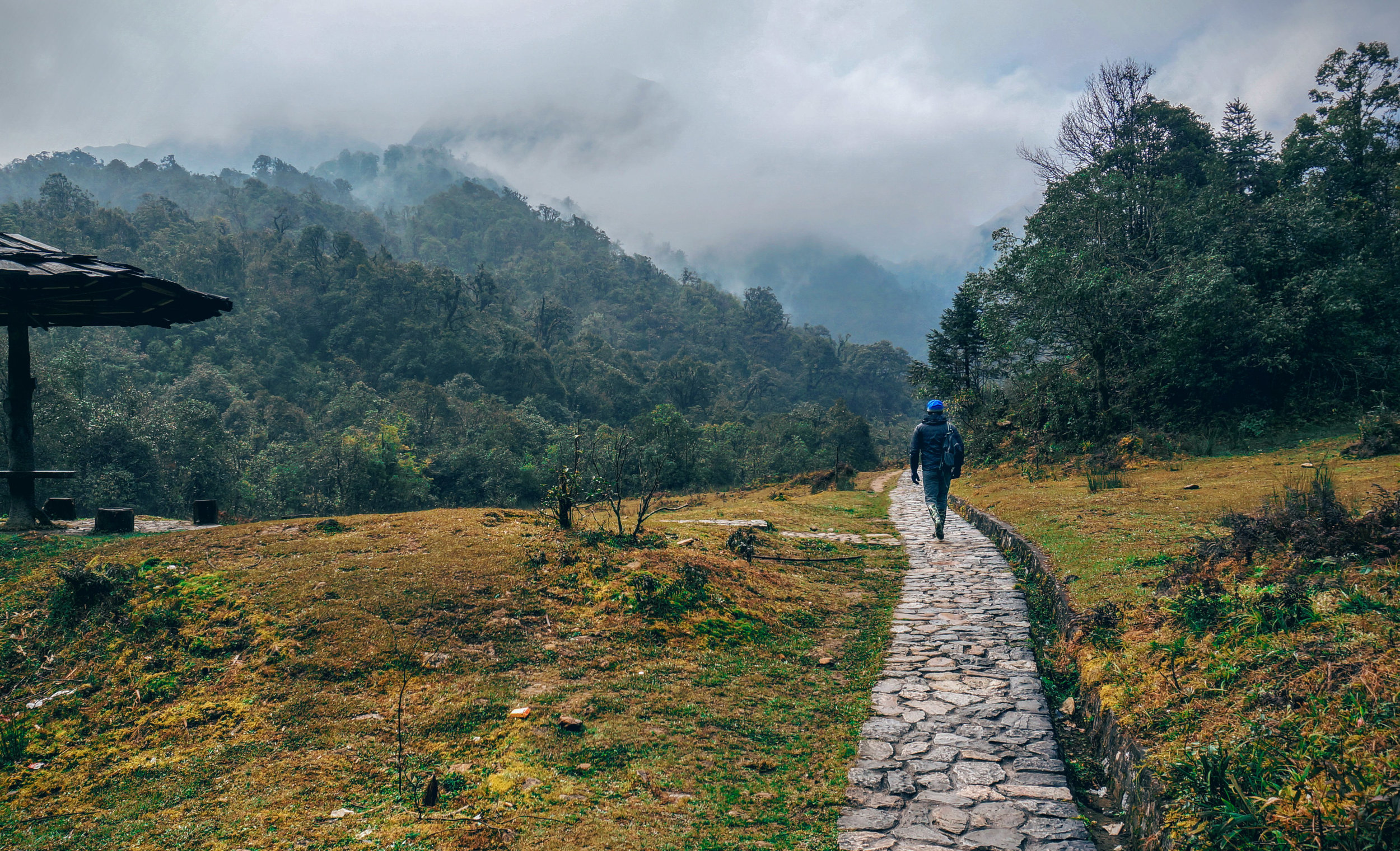 max+walking+sapa+(1+of+1).jpg