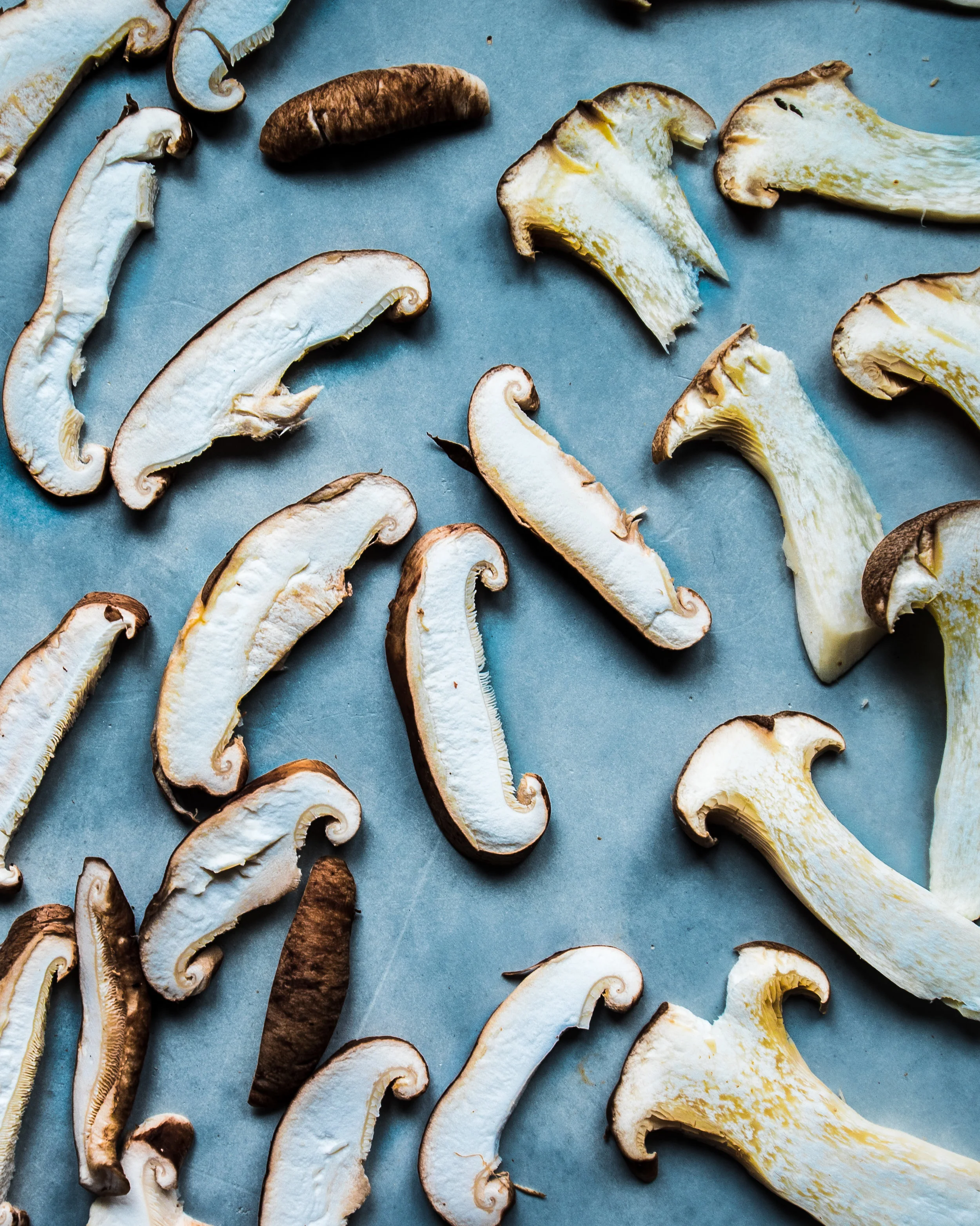 Vegan Quesadillas with Mushroom Bacon