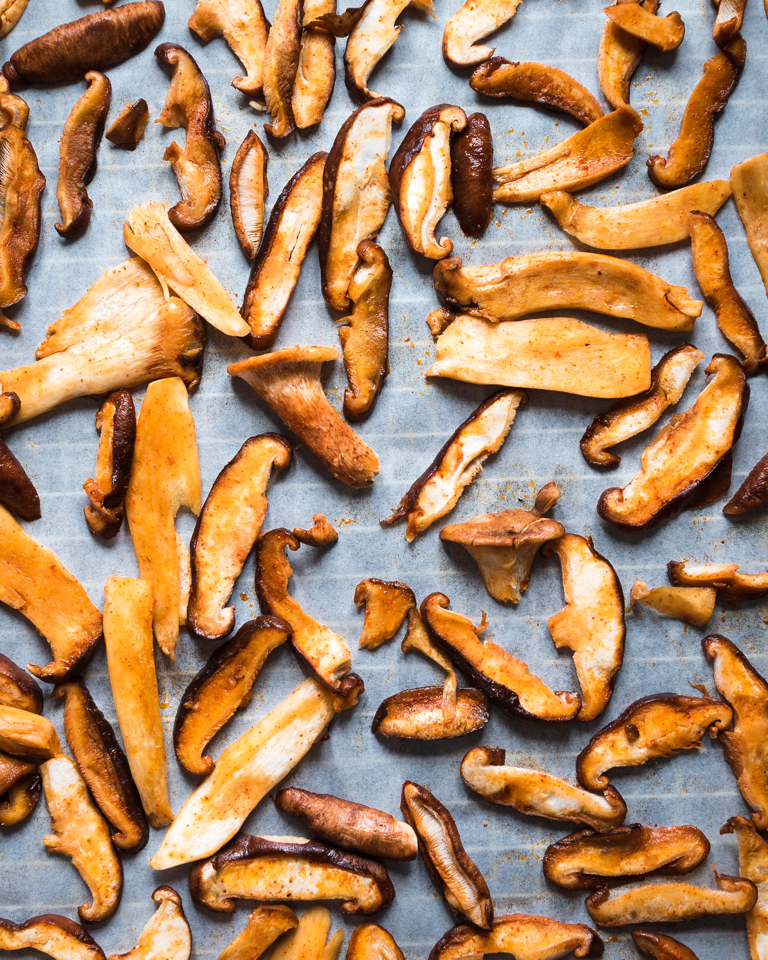 Vegan Quesadillas with Mushroom Bacon