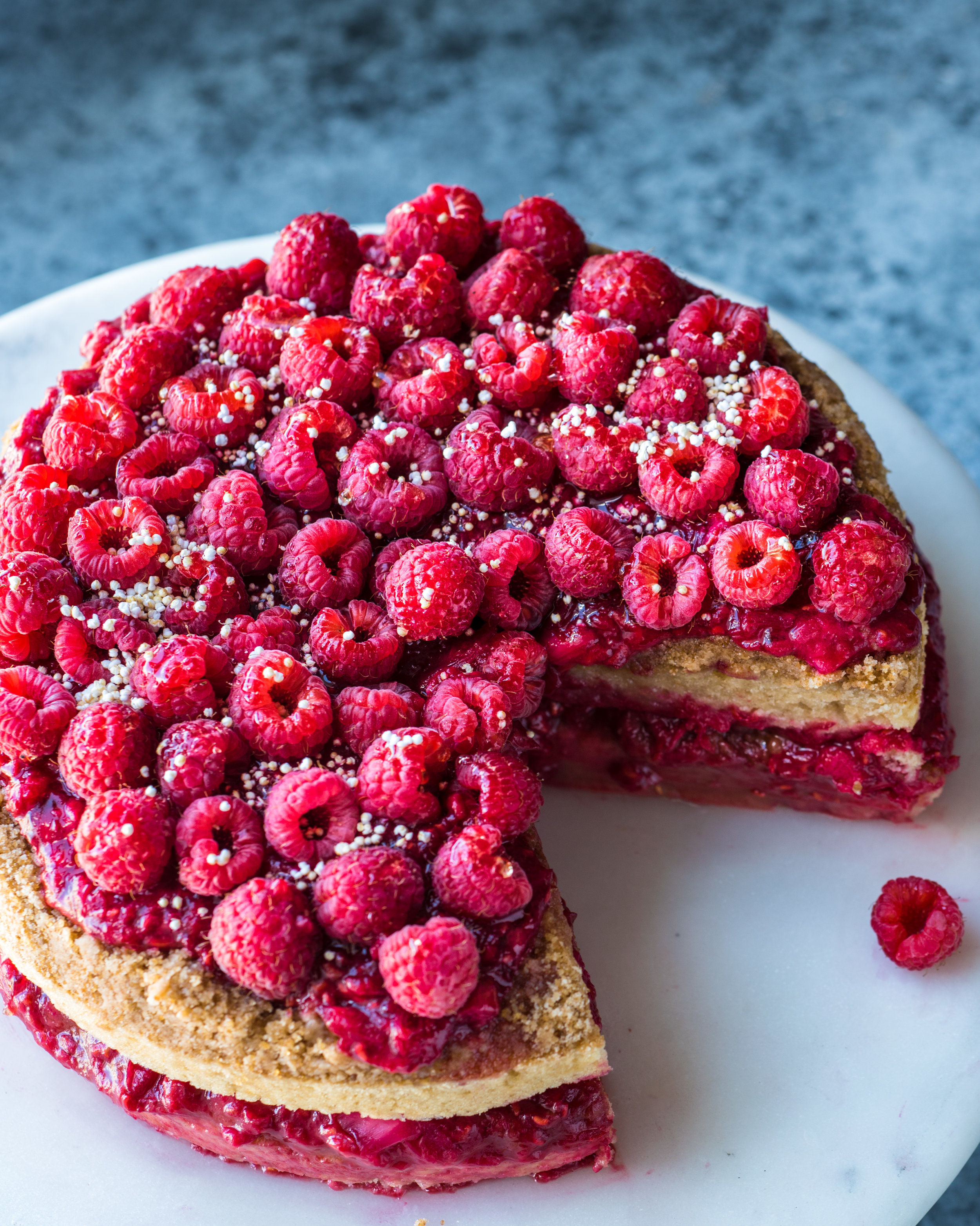 Vegan Raspberry Rhubarb Crumble Cake