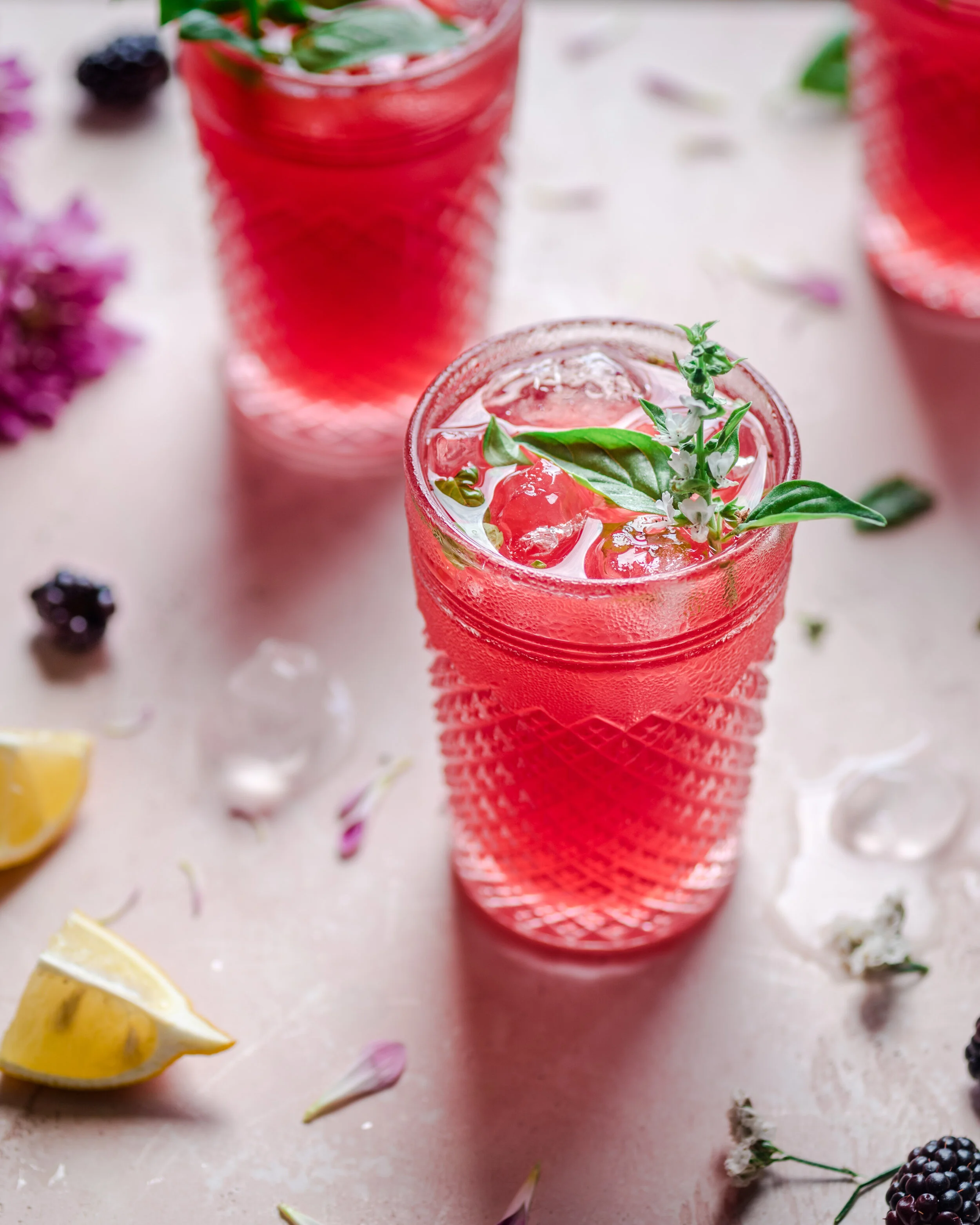 Healthy Blackberry Basil Lemonade Rainbow Plant Life