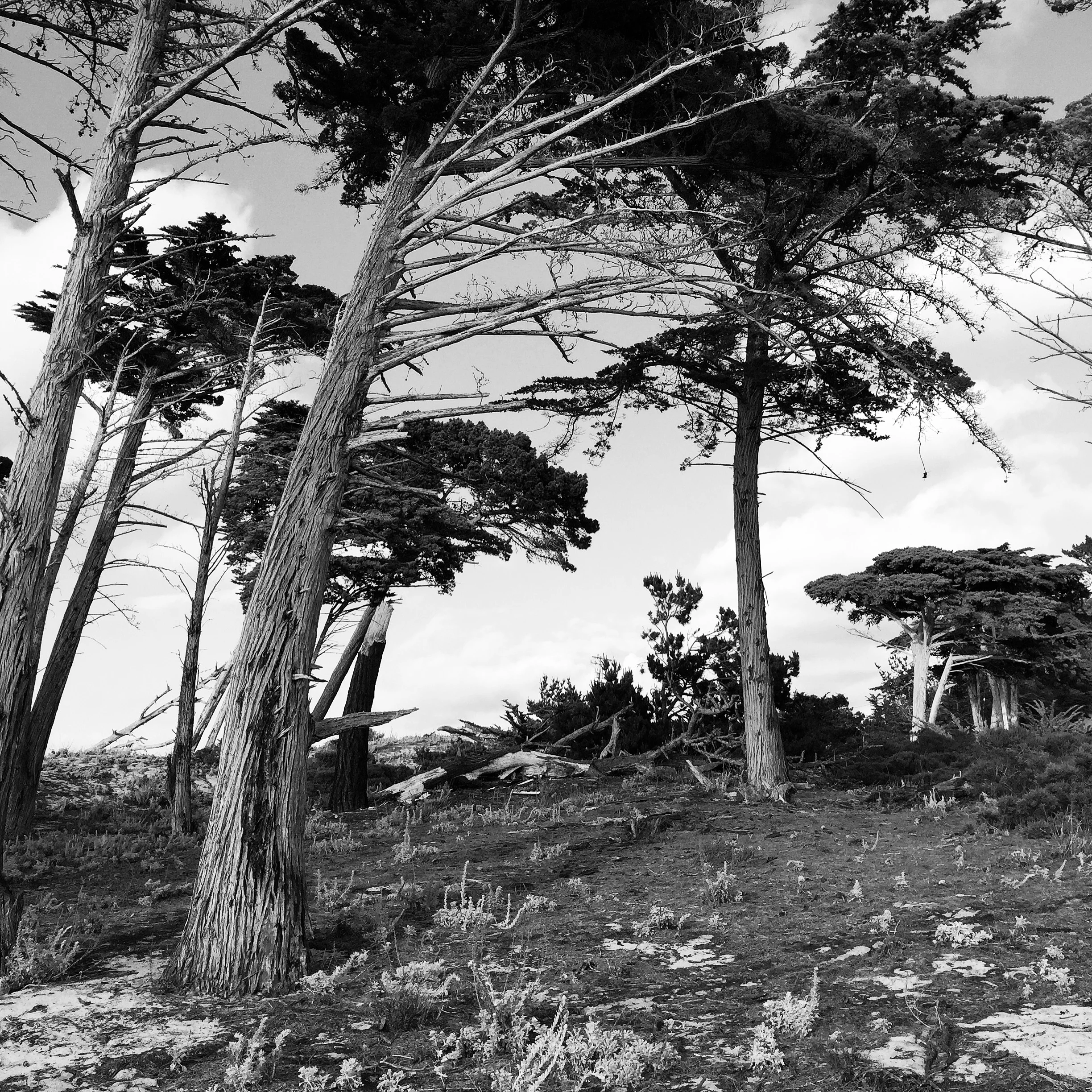 The Fathomless Ocean, The Uncharted Land