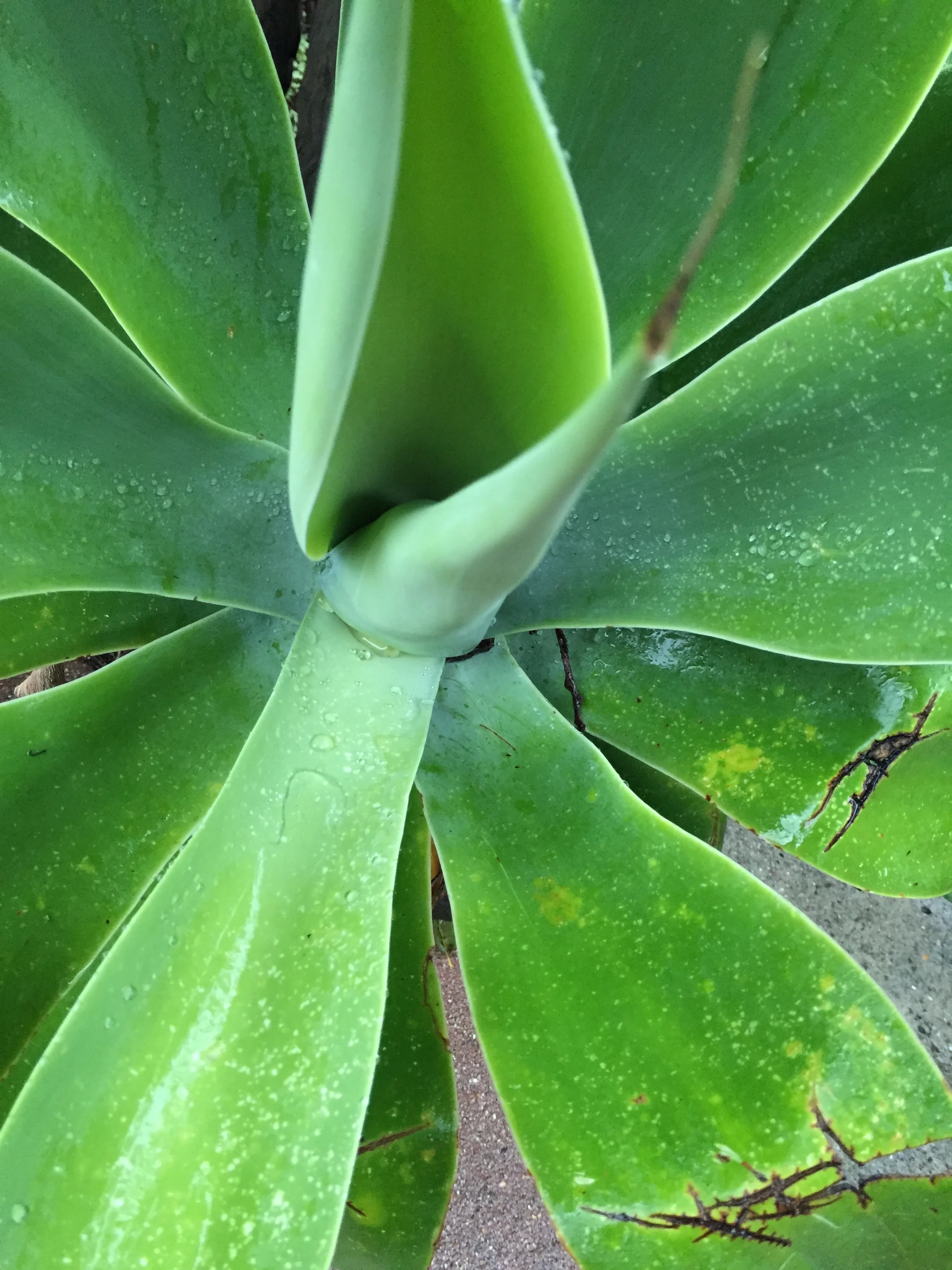 A Space Between: Mindful Walking