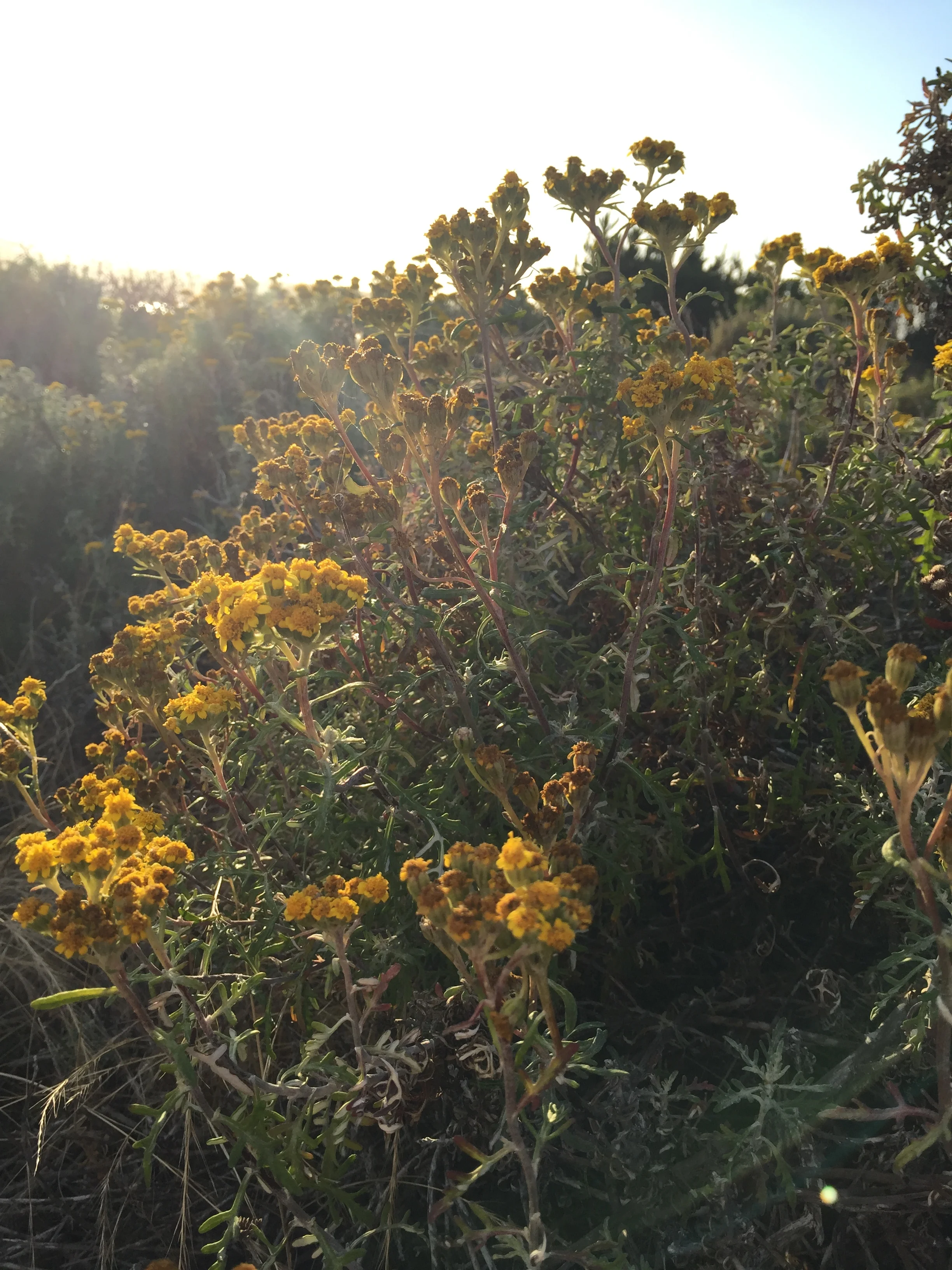 Look at Your Moments— Are Your Needs Being Met?