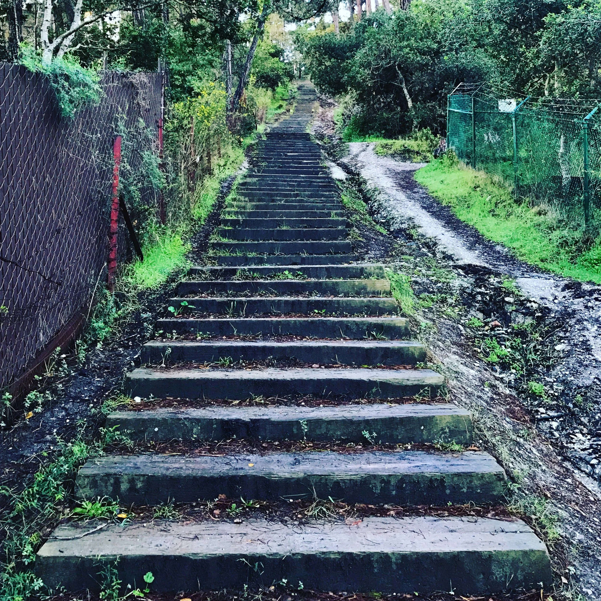 Tips to Create Habits that Serve