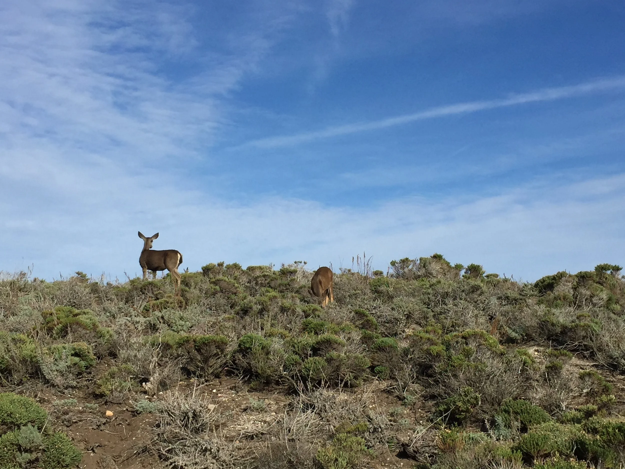 Your Mindfulness Practice is Self-Care