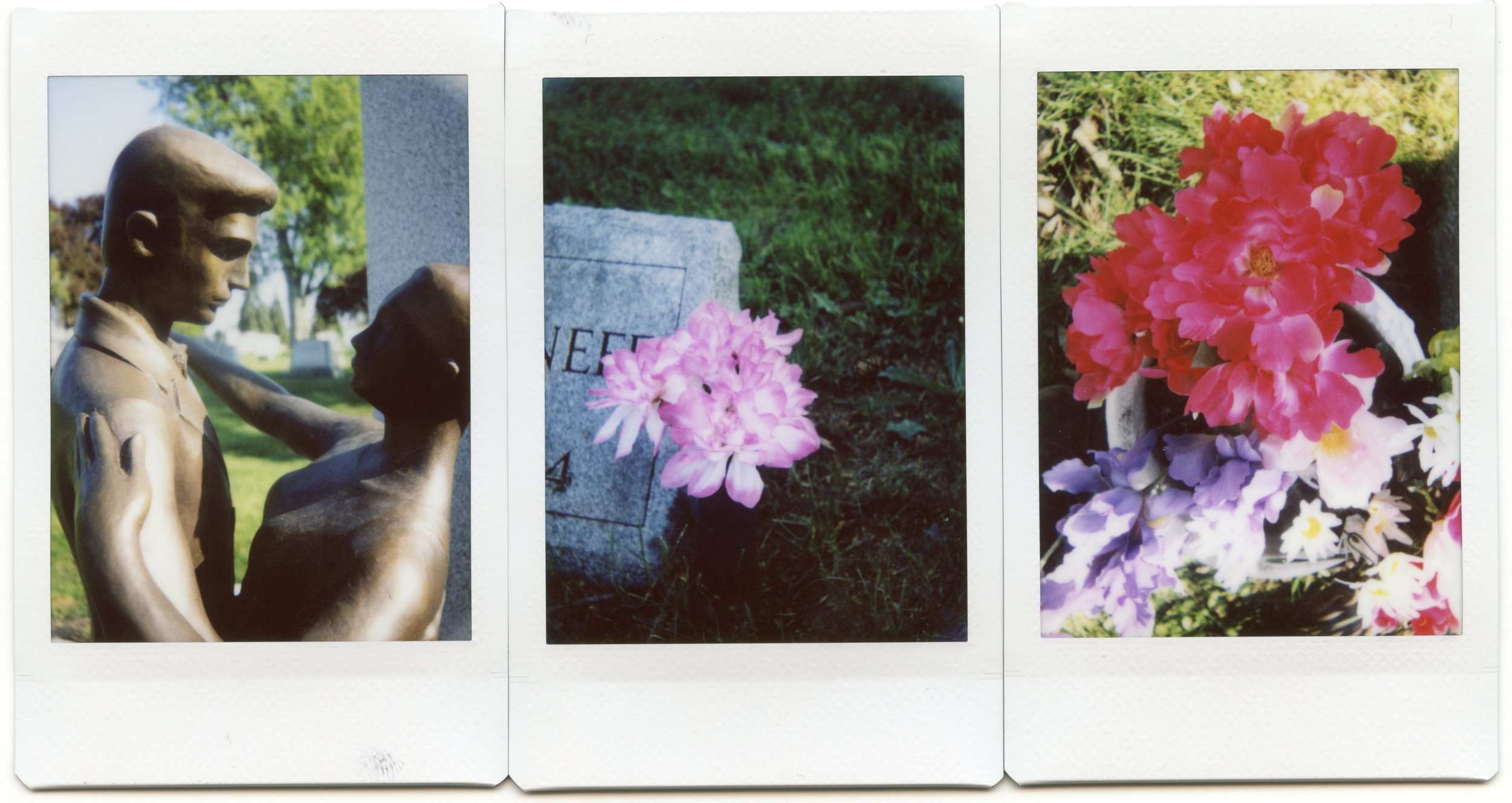 Photos taken with the Fuji Instax Mini 50S camera's macro lens from roughly 13" from the subject.