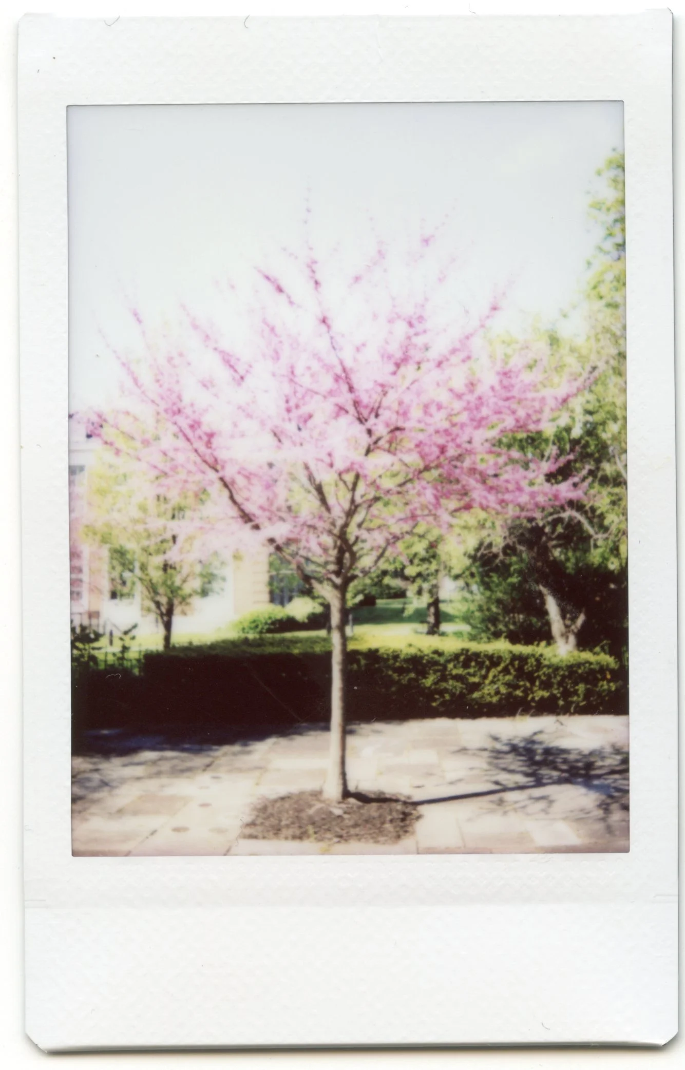 Fuji Instax 70 Photos - 011.jpg