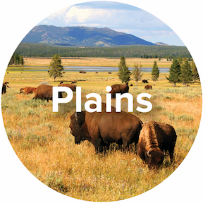 Ecosystem-Plains-Icon.jpg