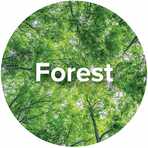 Ecosystem-Forest-Icon.jpg