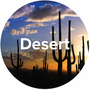 Ecosystem-Desert-Icon.jpg