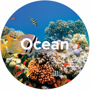 Ecosystem-Oceans-Icon.jpg