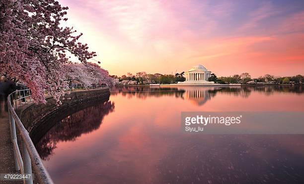 Photo by Siyu_liu/iStock / Getty Images