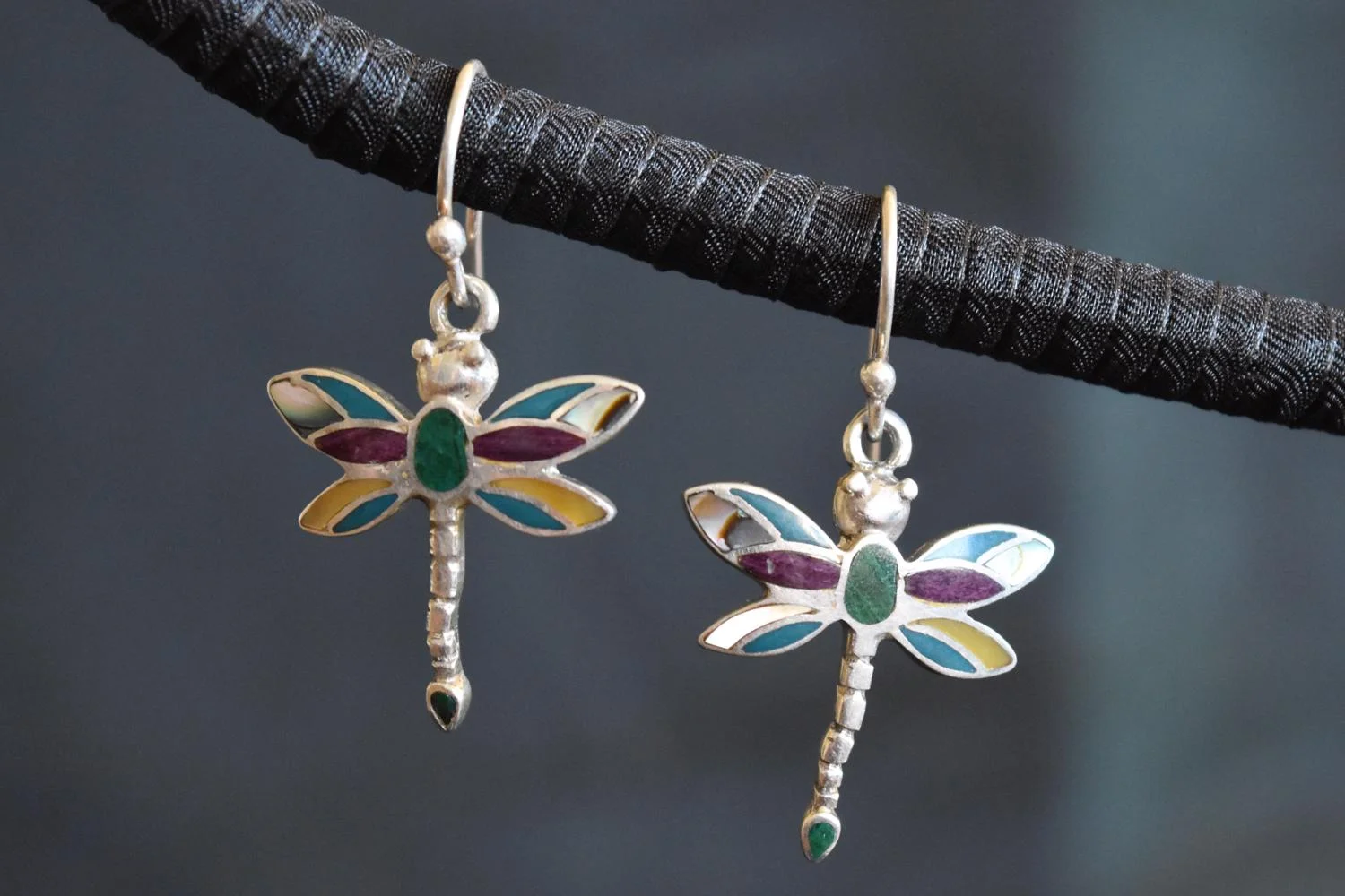 JSE Dragonflies (1).JPG