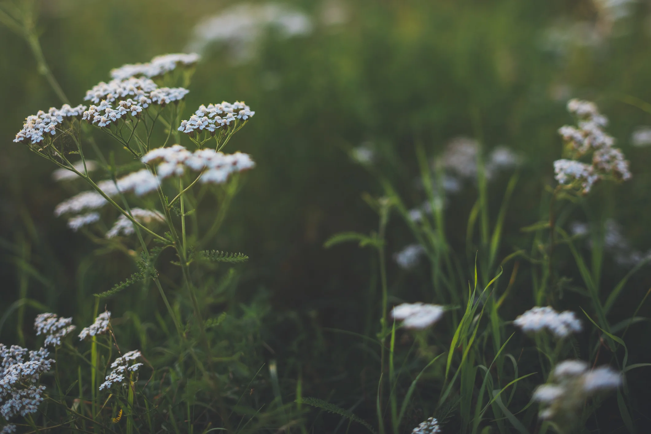 Photo by Rike_/iStock / Getty Images