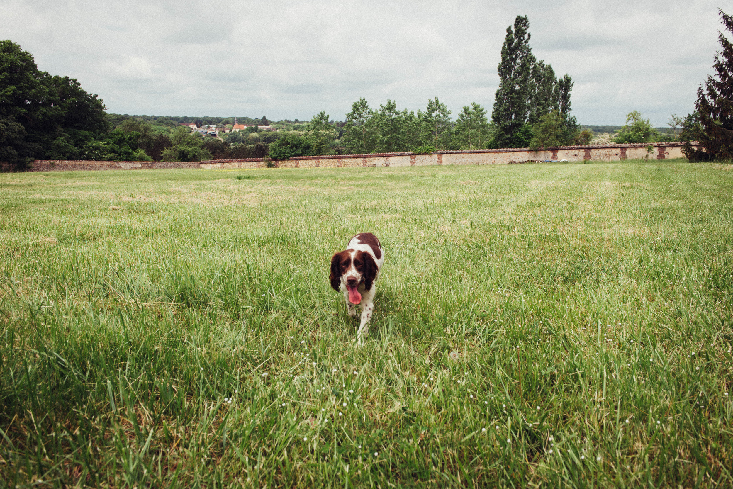 Milka, one of the residents on the farm