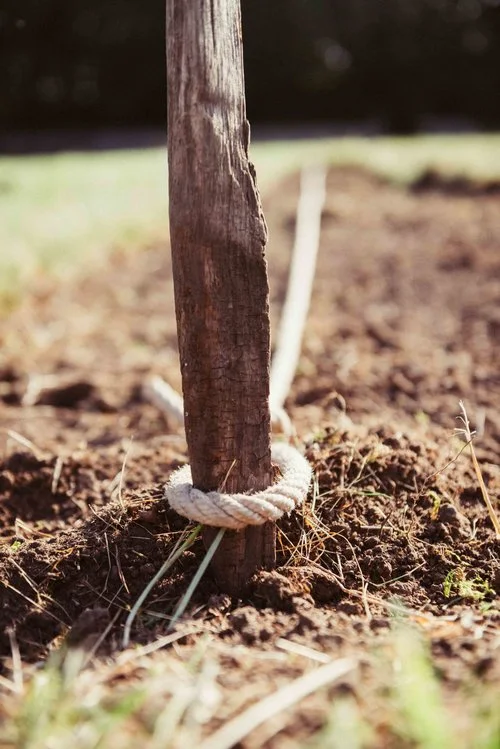 Farm Update #2