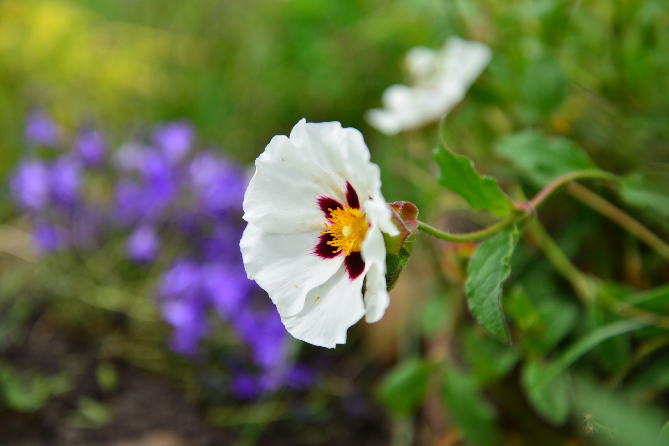 Photo by Kim_white/iStock / Getty Images