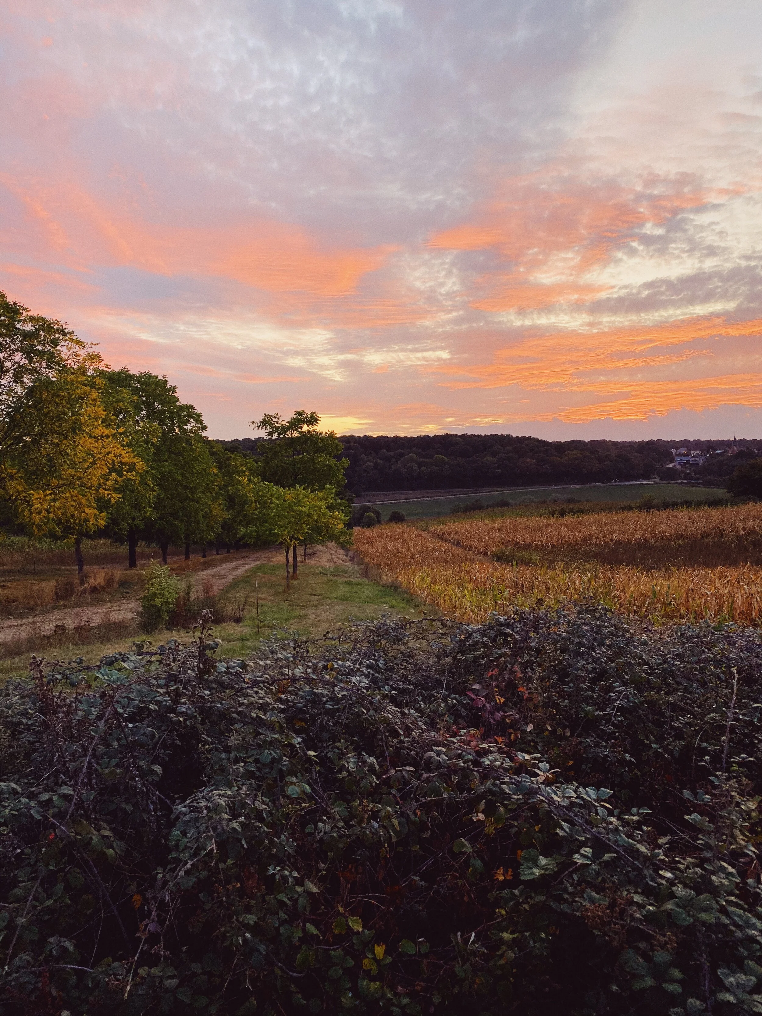 Photo by Del Barrett on Unsplash