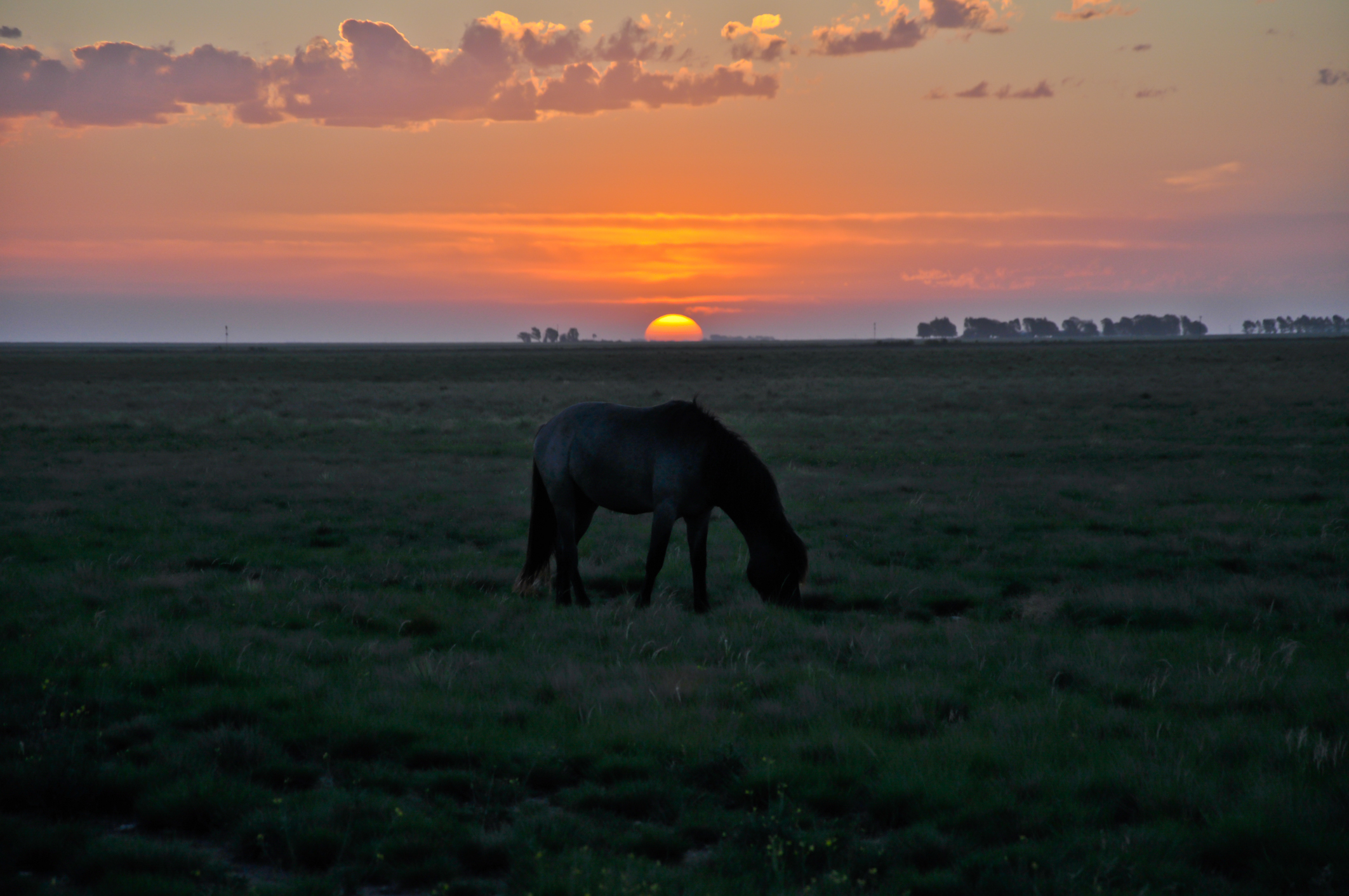 estancia_marta_dia2-404.jpg