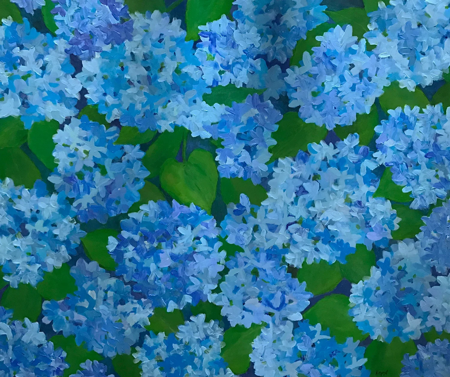 Blue Hydrangeas III