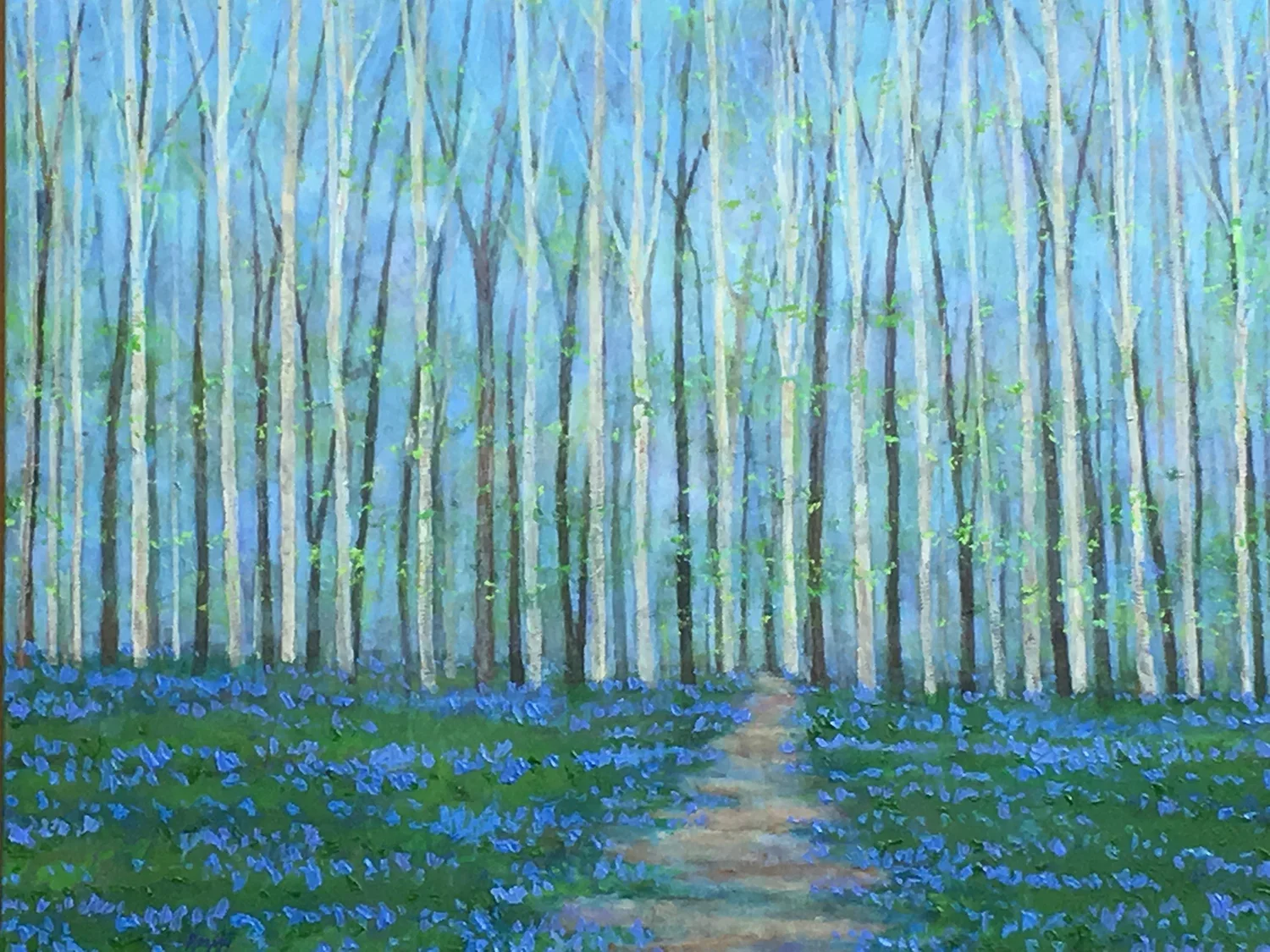 Bluebell Fields