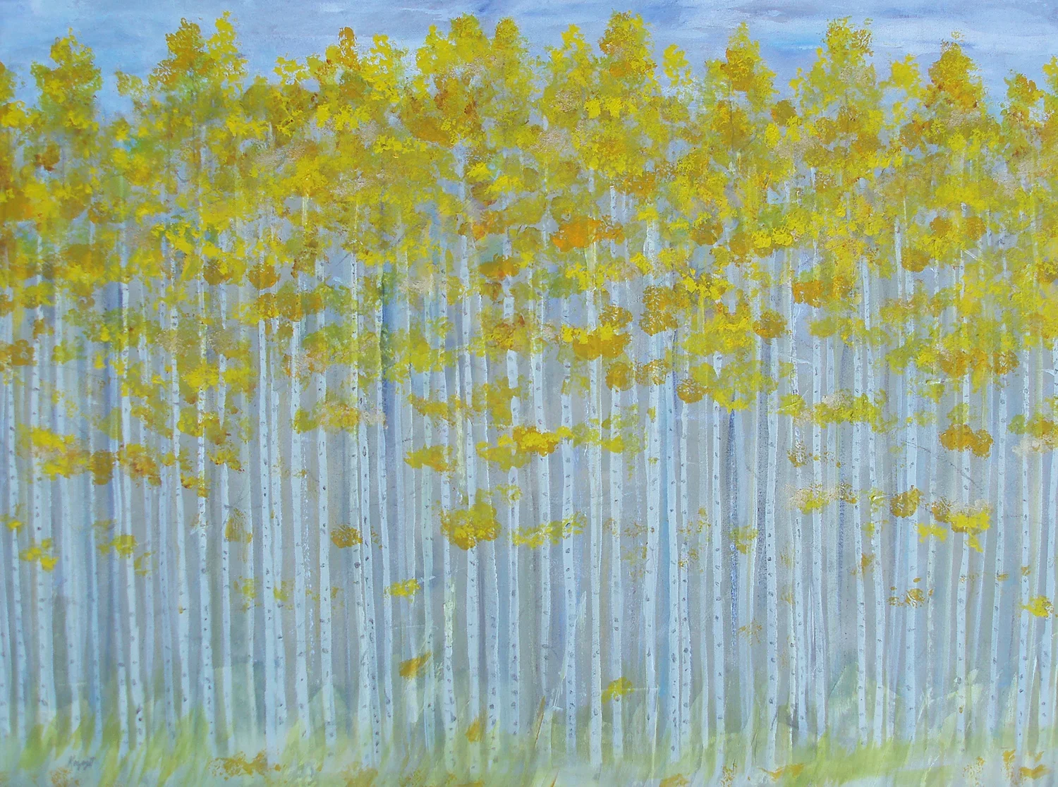 Aspen Glory