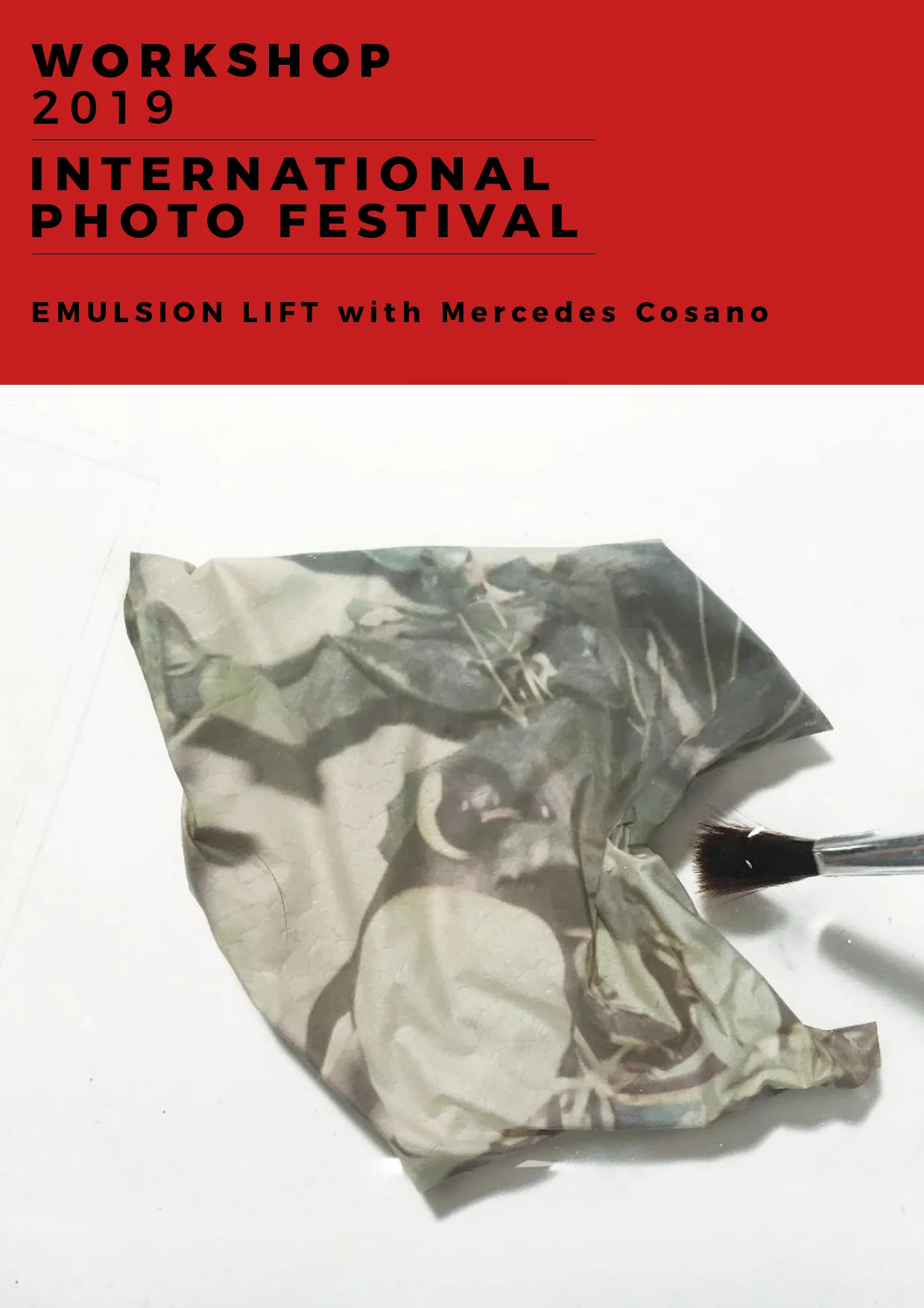 Workshop Emulsion Lift.jpg