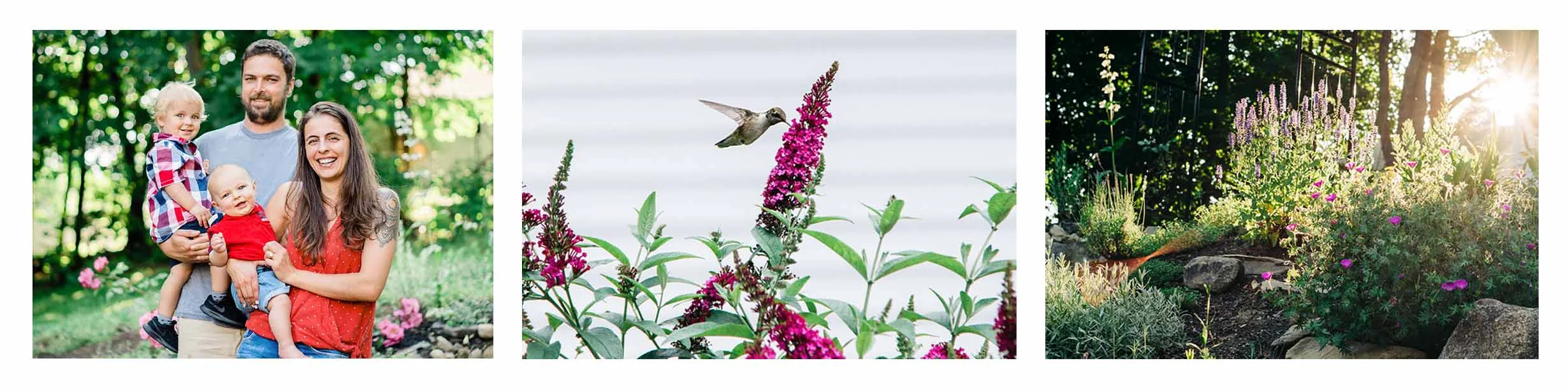 secret garden banner.jpg